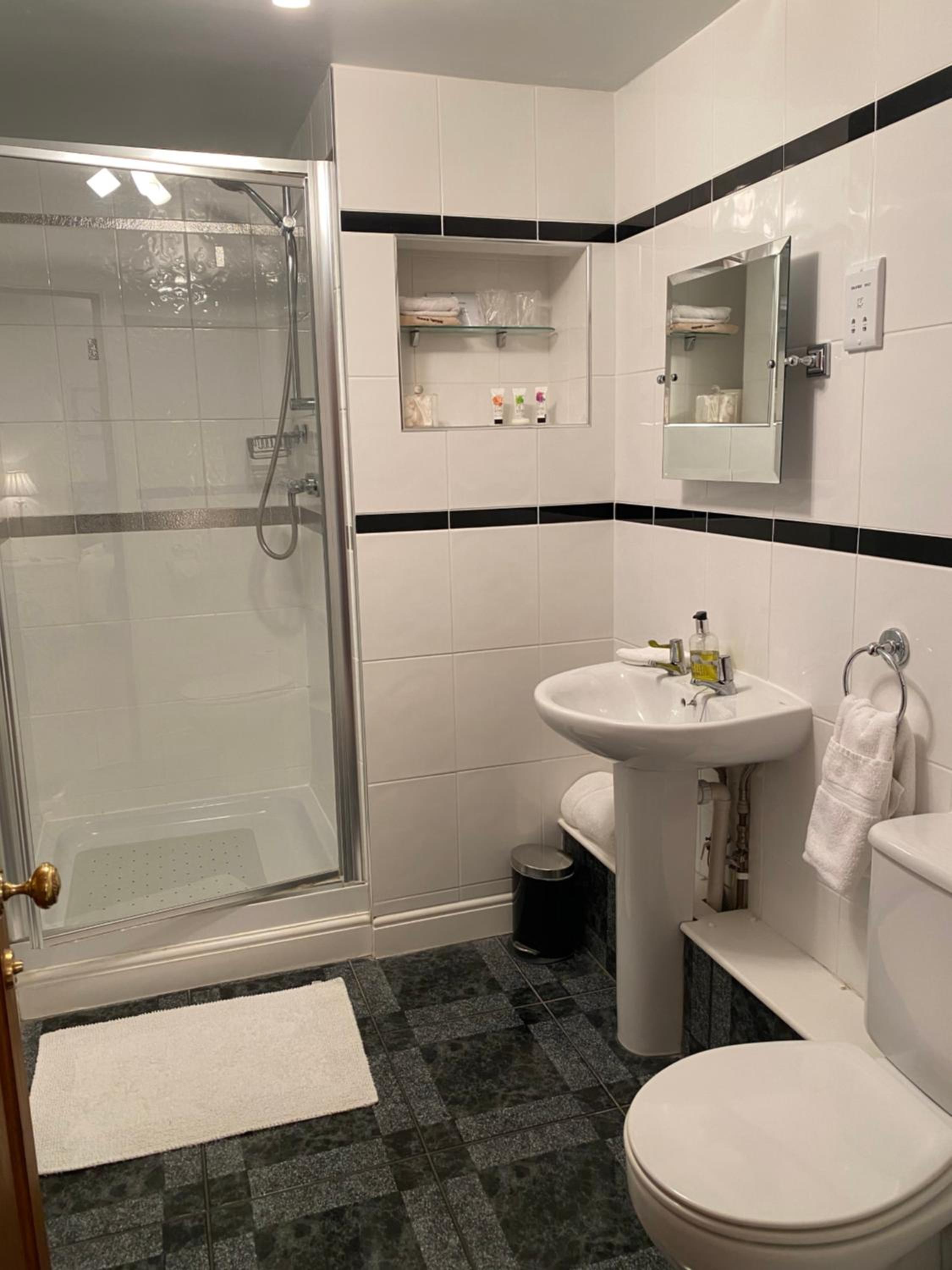 Deluxe Double or Twin Room photo 3