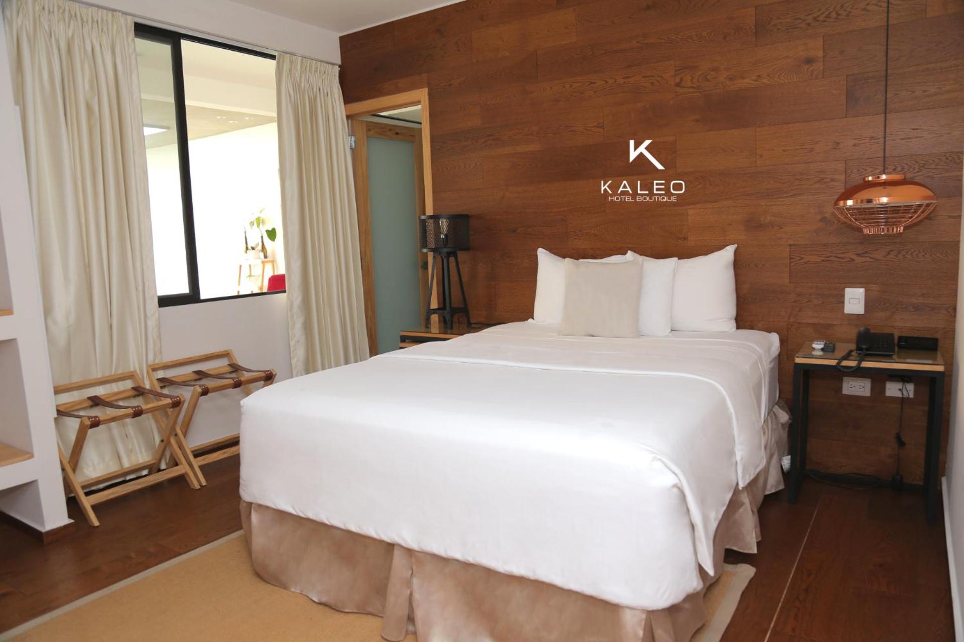 Junior Suite photo 1