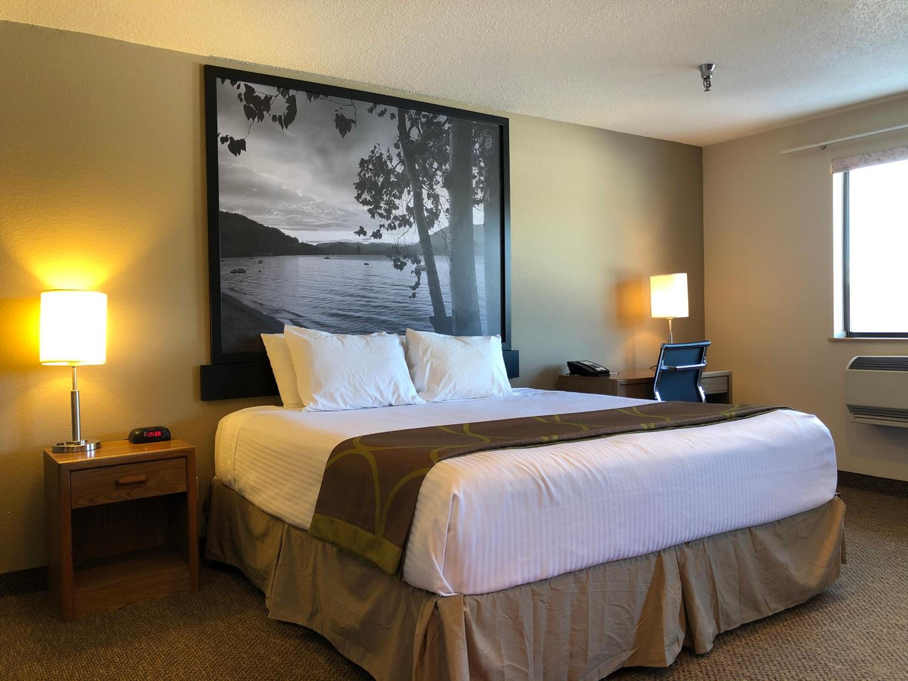 King Studio Suite - Non-Smoking - Photo 1