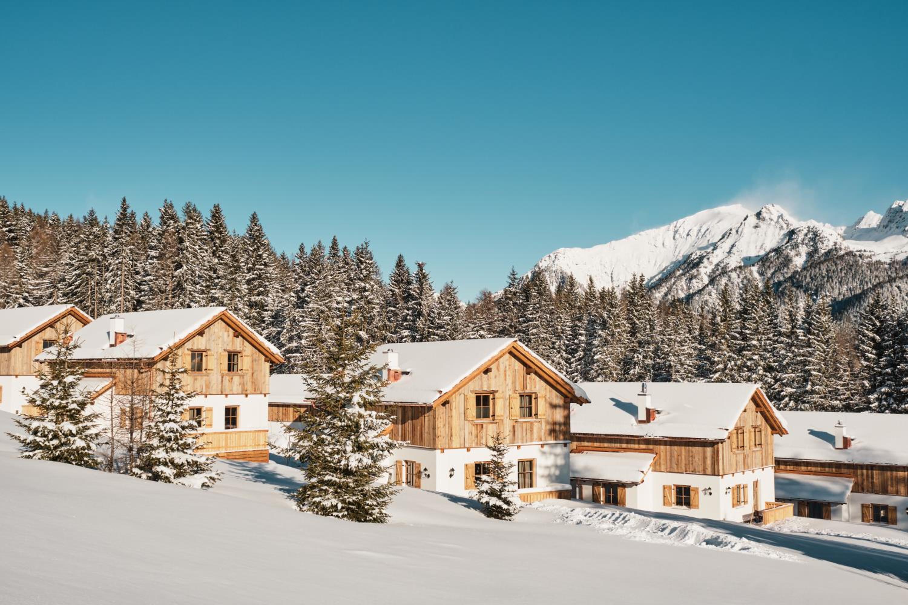 Three-Bedroom Chalet photo 3