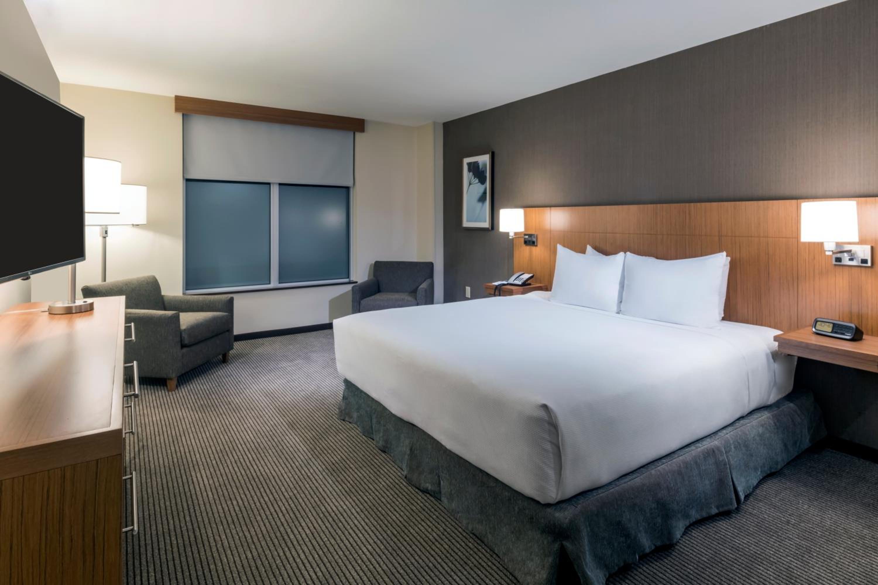 One-Bedroom King Suite with Sofa Bed photo 2