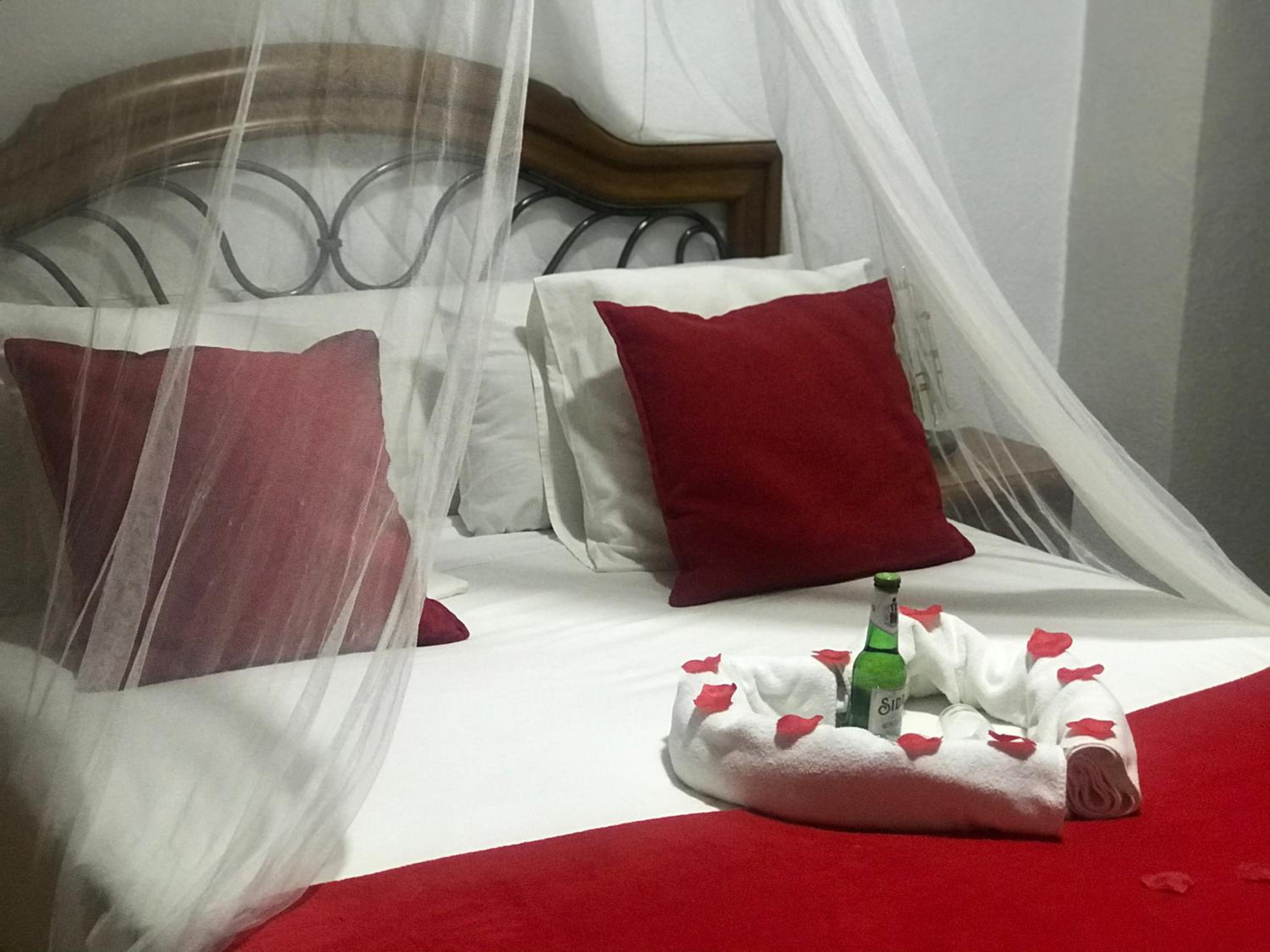 Habitación Doble Deluxe (2 Adultos + 1 Niño)