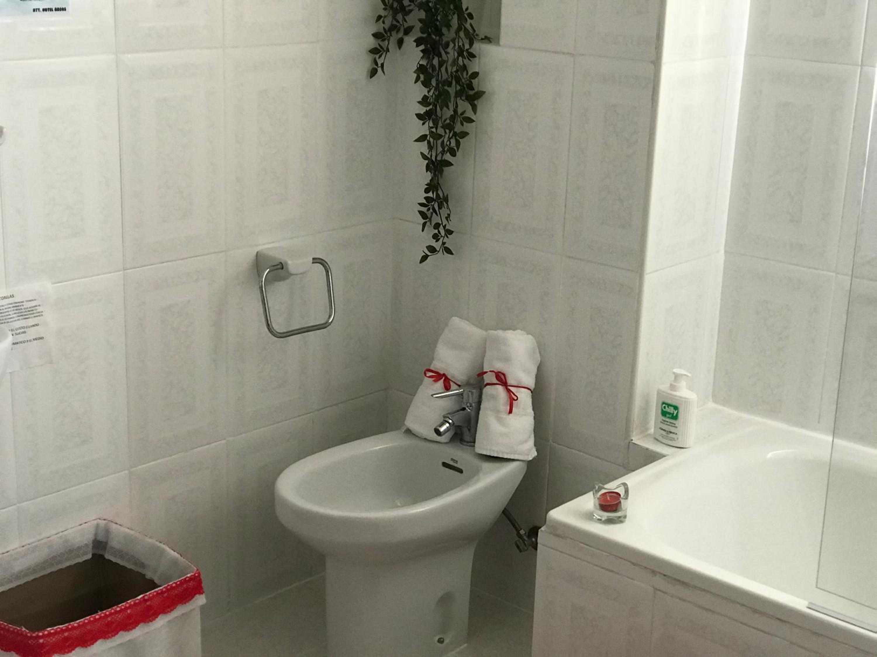 Large Single Room photo 2