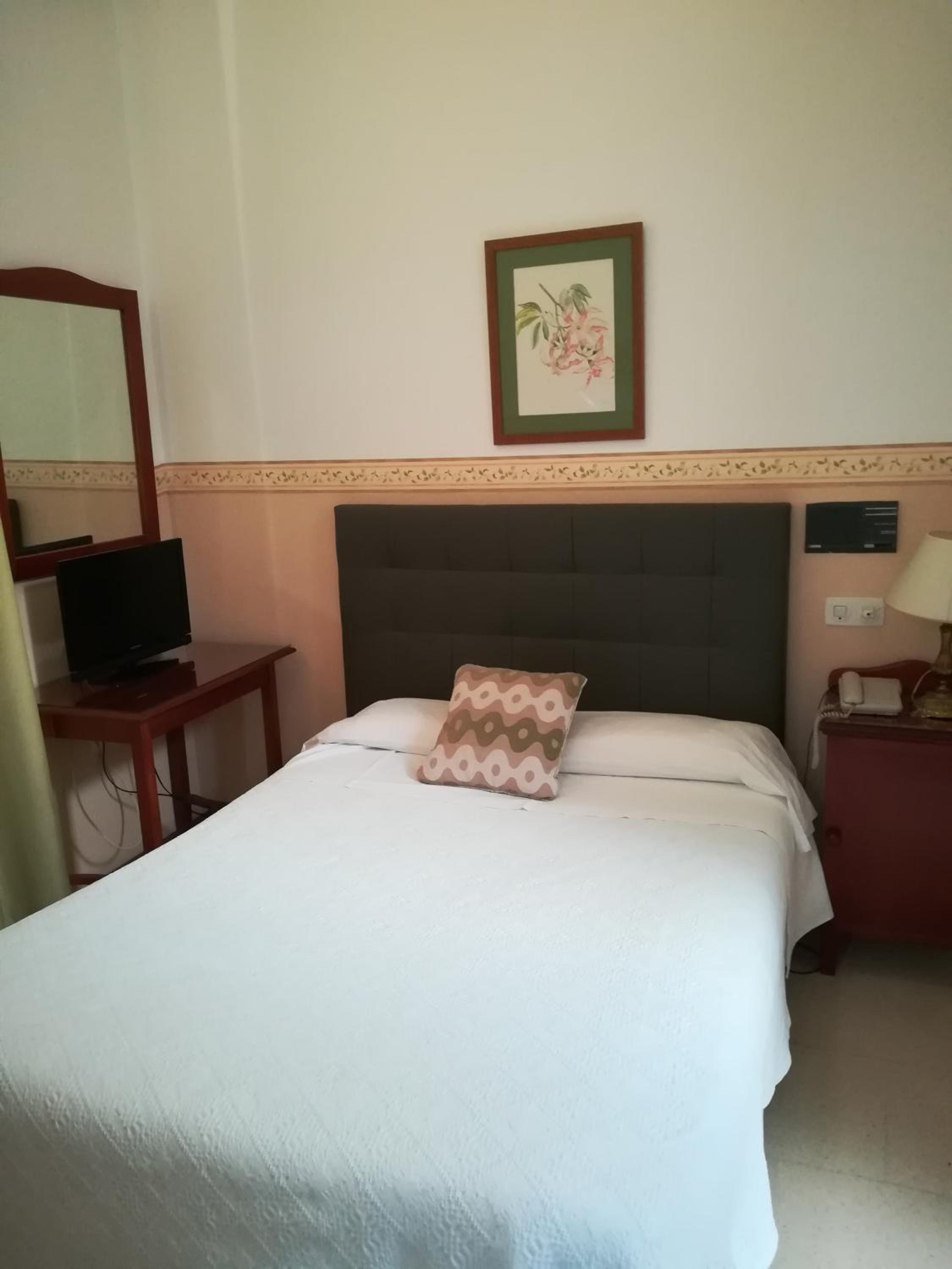 Superior Single Room photo 2