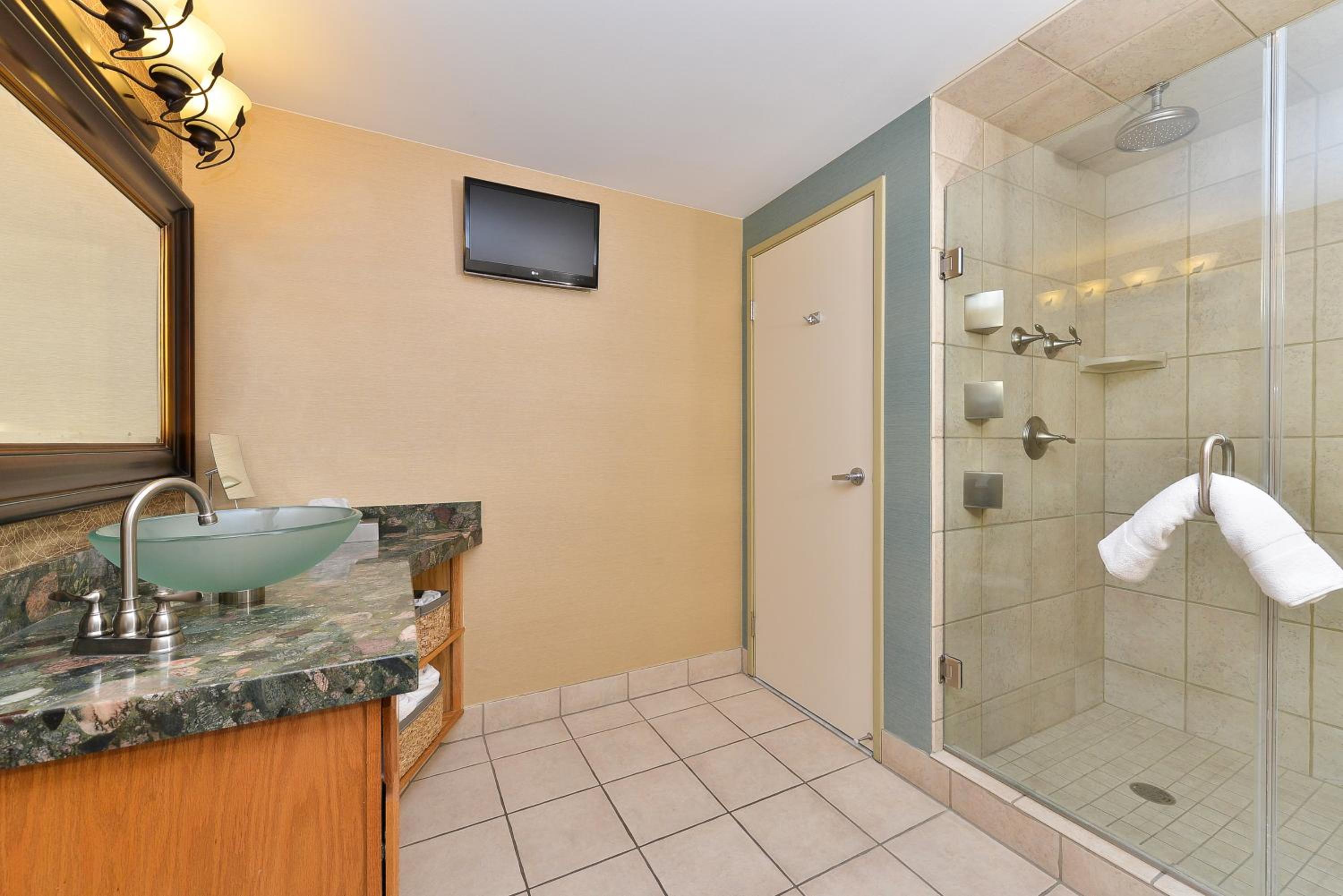 One-Bedroom King Suite - Photo 2
