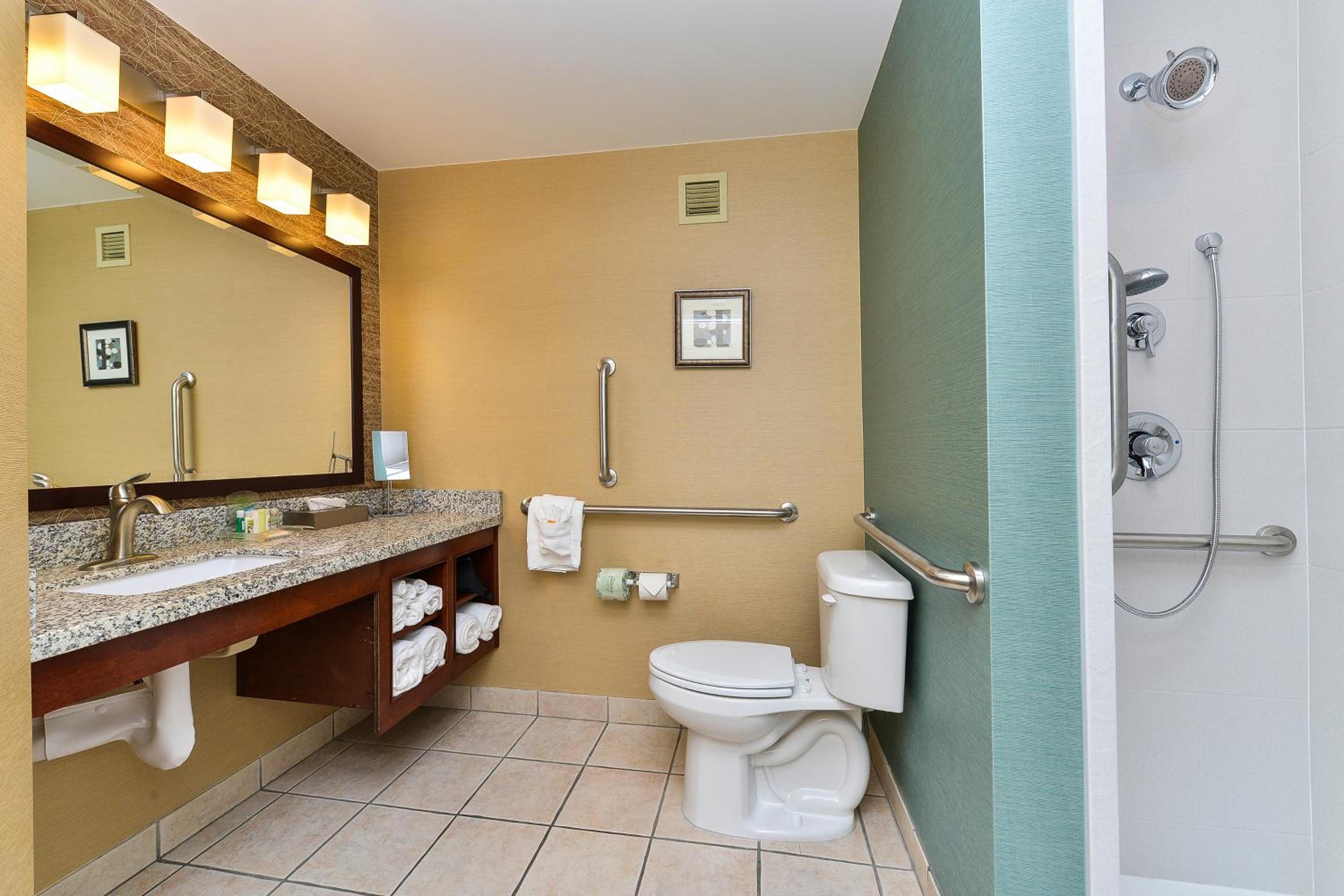 Standard King Room with Roll-In Shower - Mobility Access - Photo 3