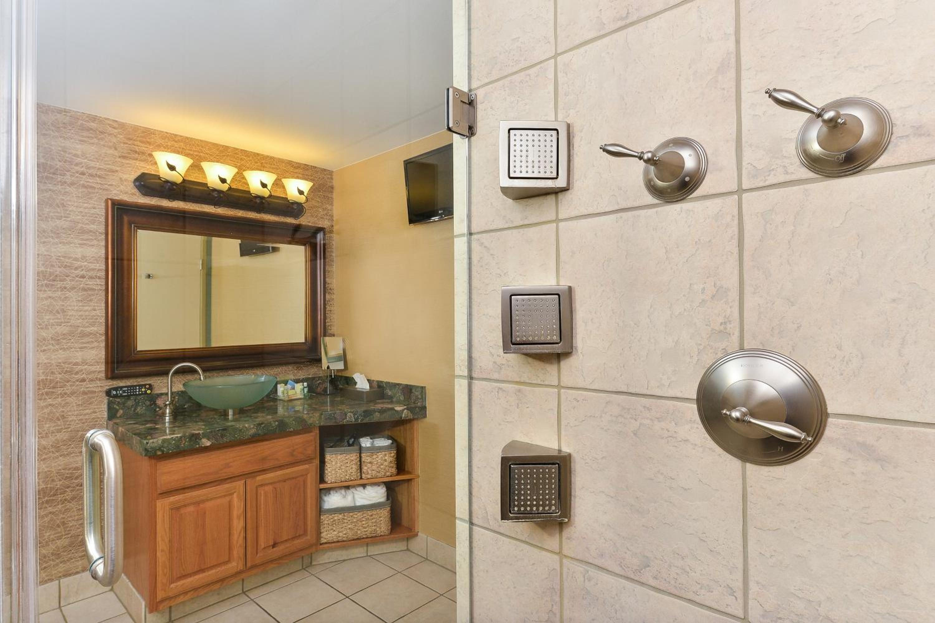 One-Bedroom King Suite - Photo 4