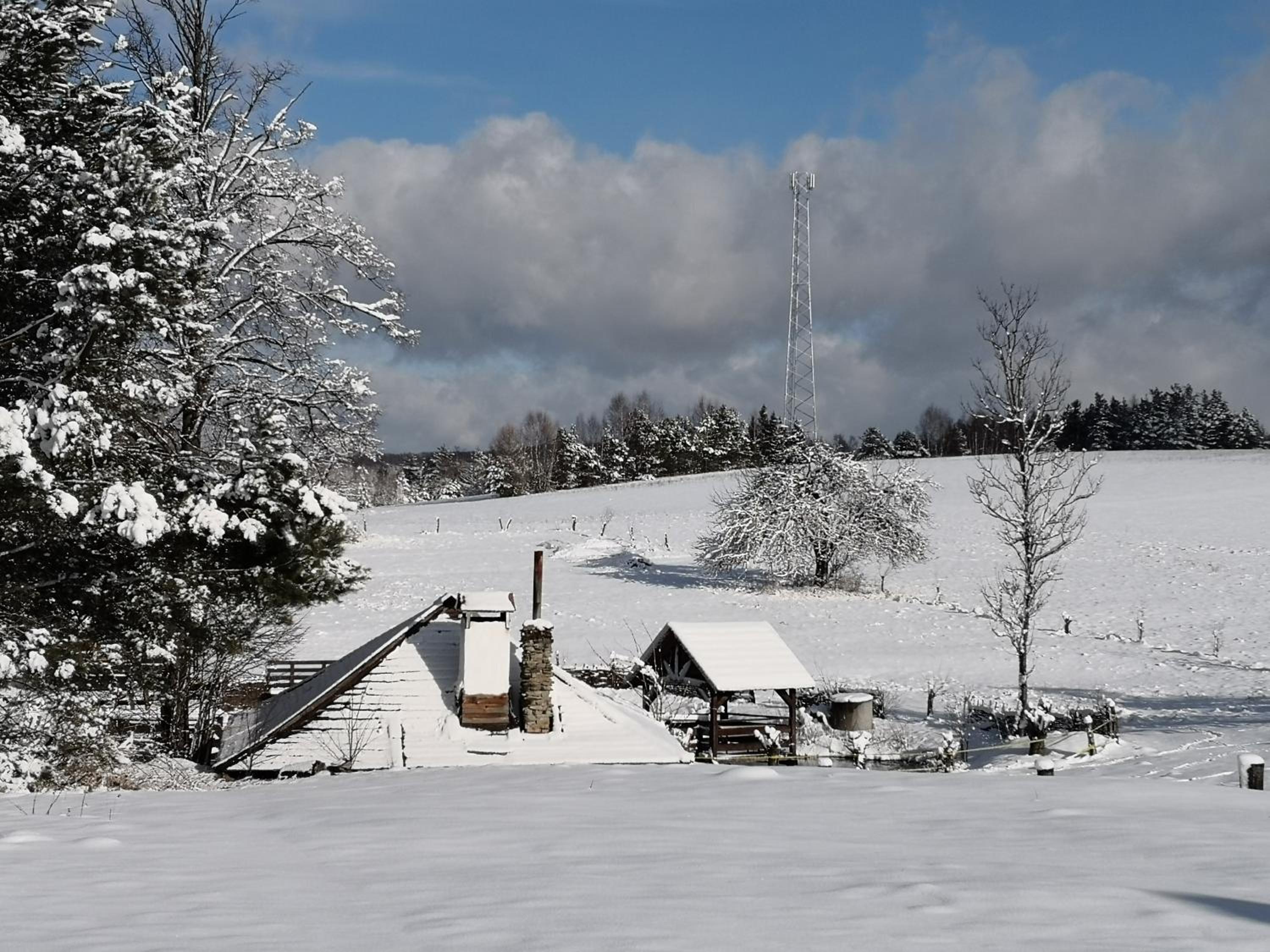 Family Bungalow photo 2