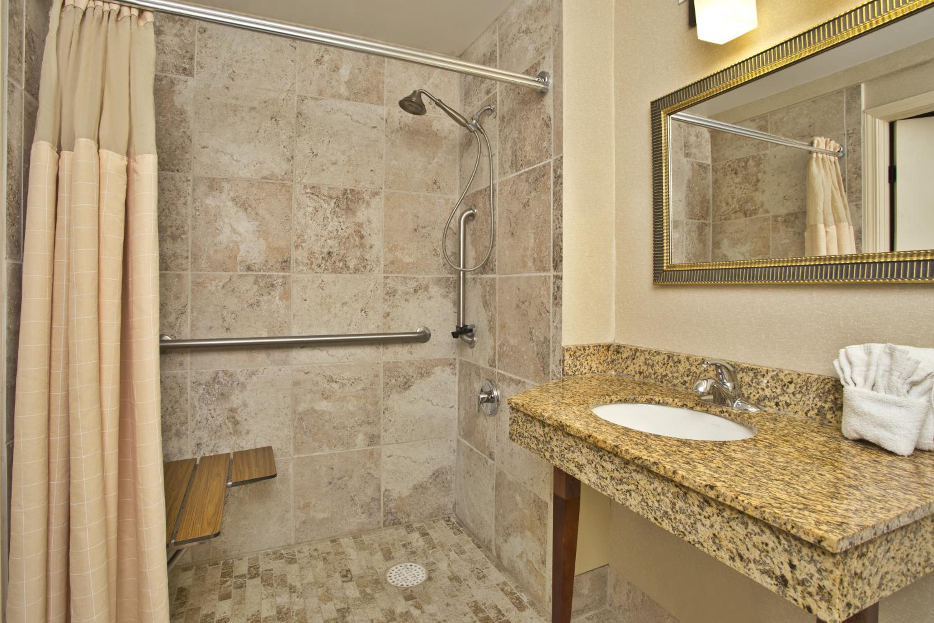 King Room - Disability Access Roll in Shower
