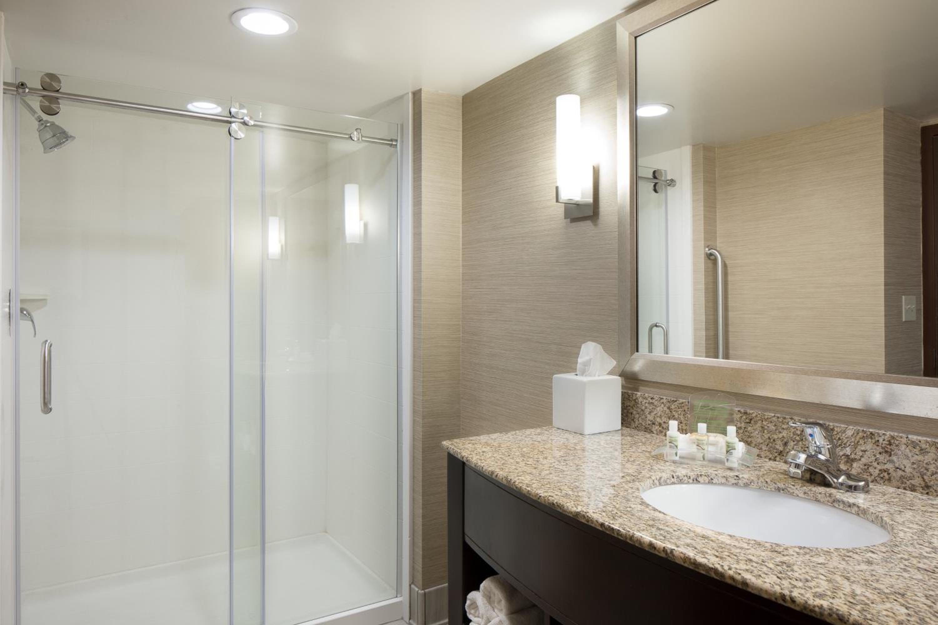 King Suite - Photo 4