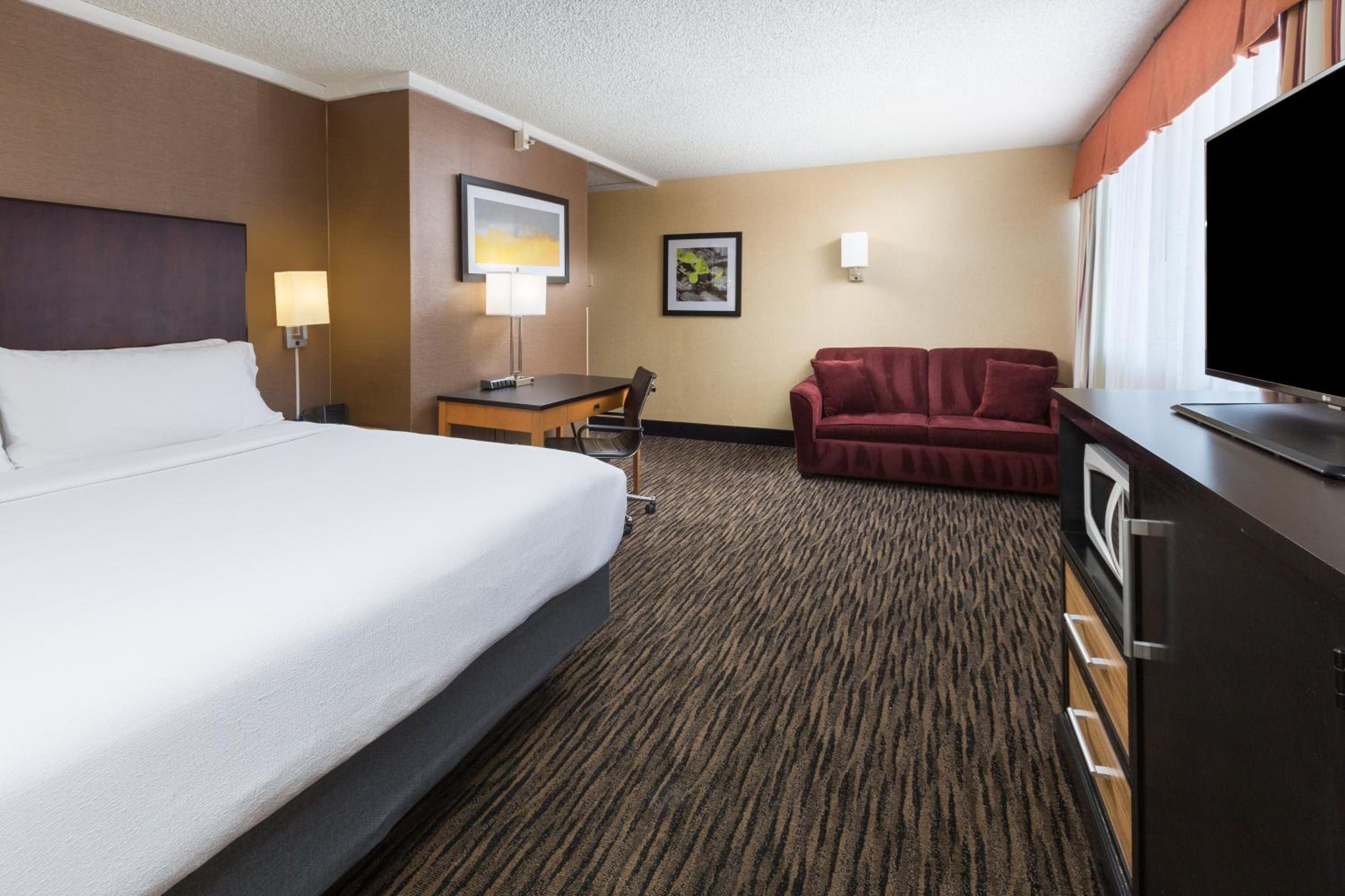 Premium King Room photo 2