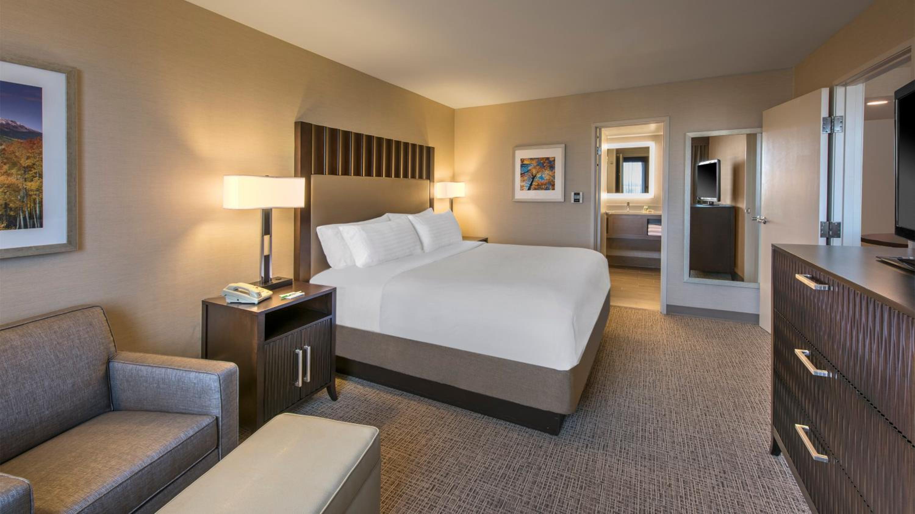 Premium King Room
