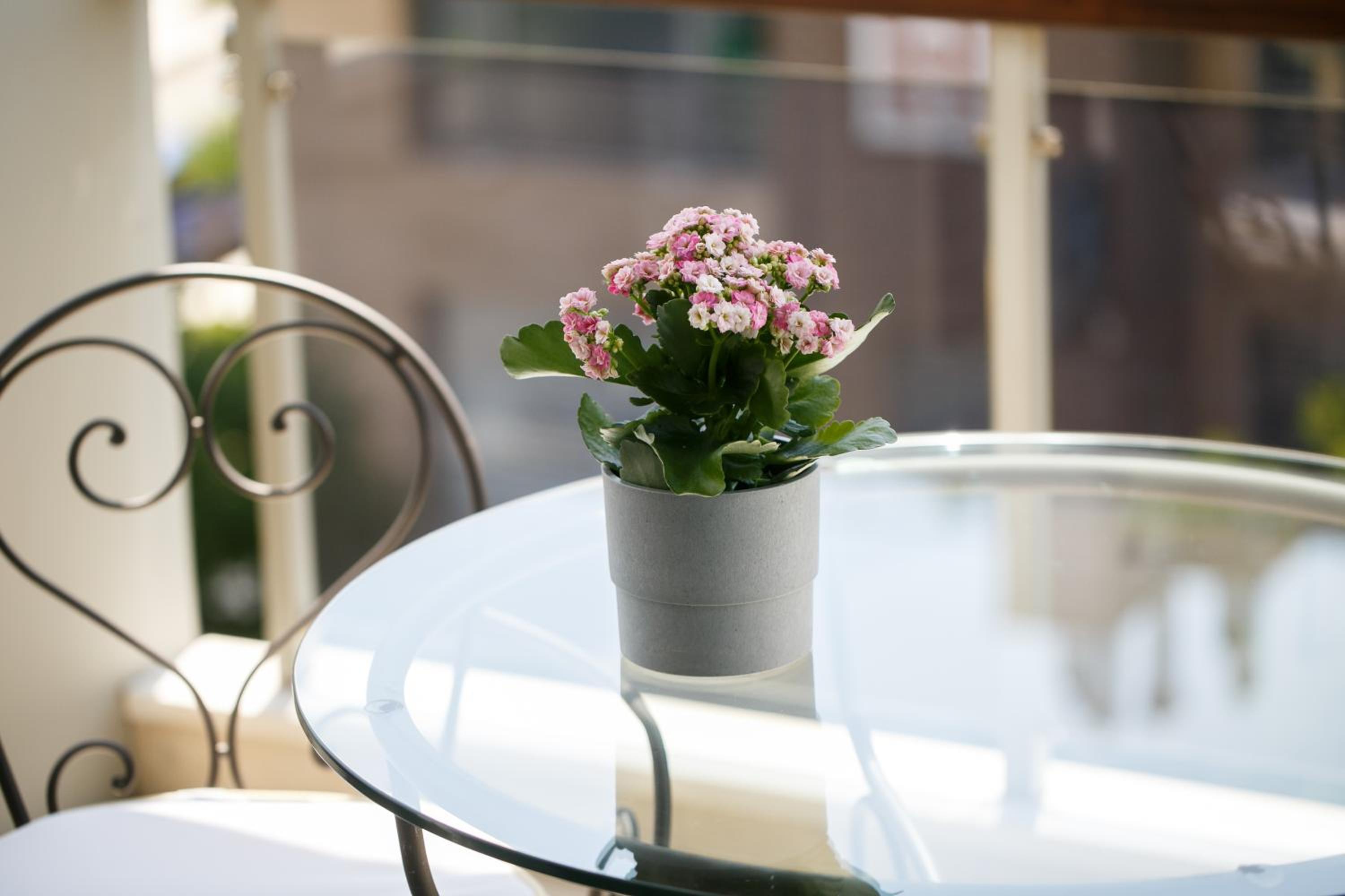 Maisonette photo 3