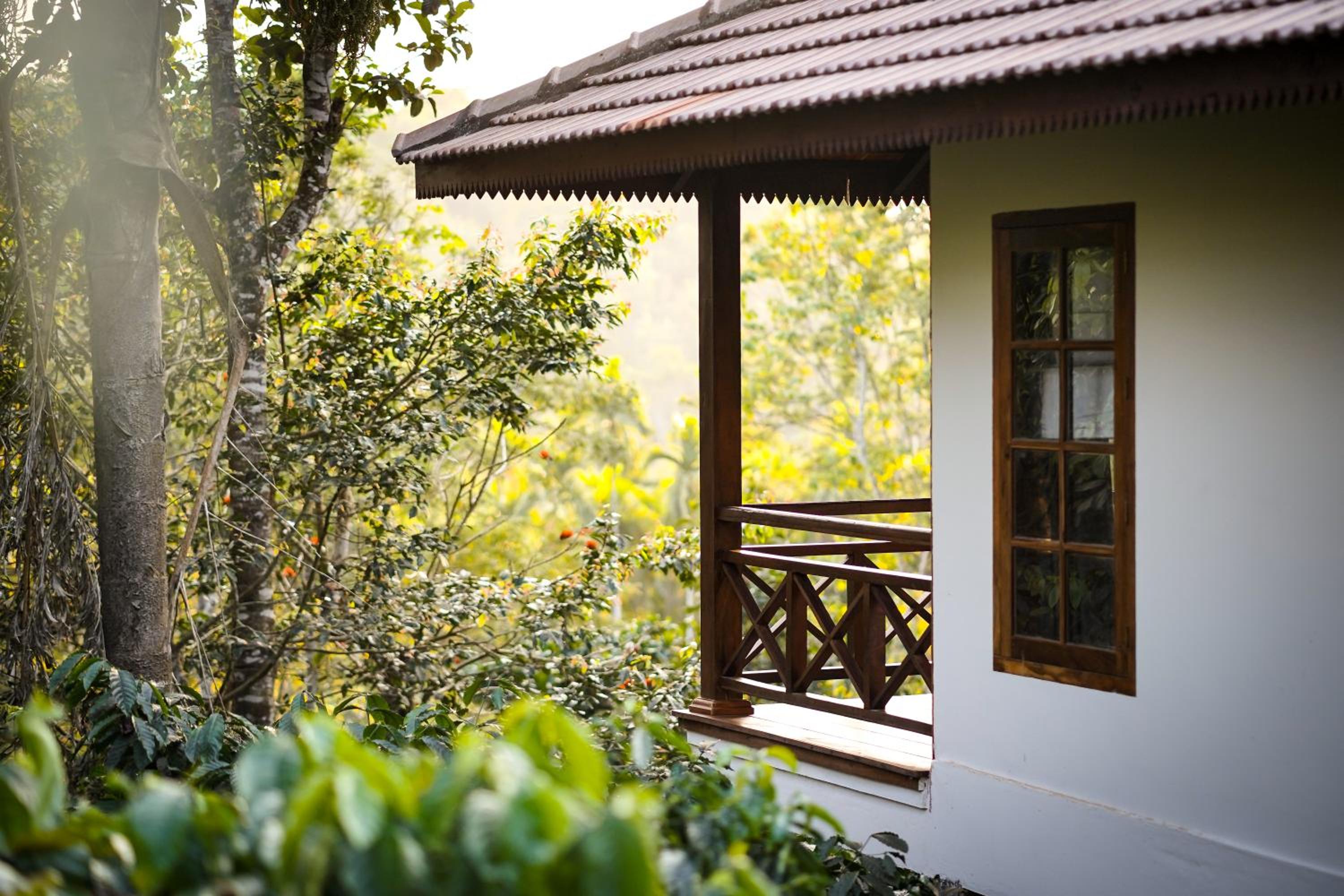 Premium Villa - Photo 5