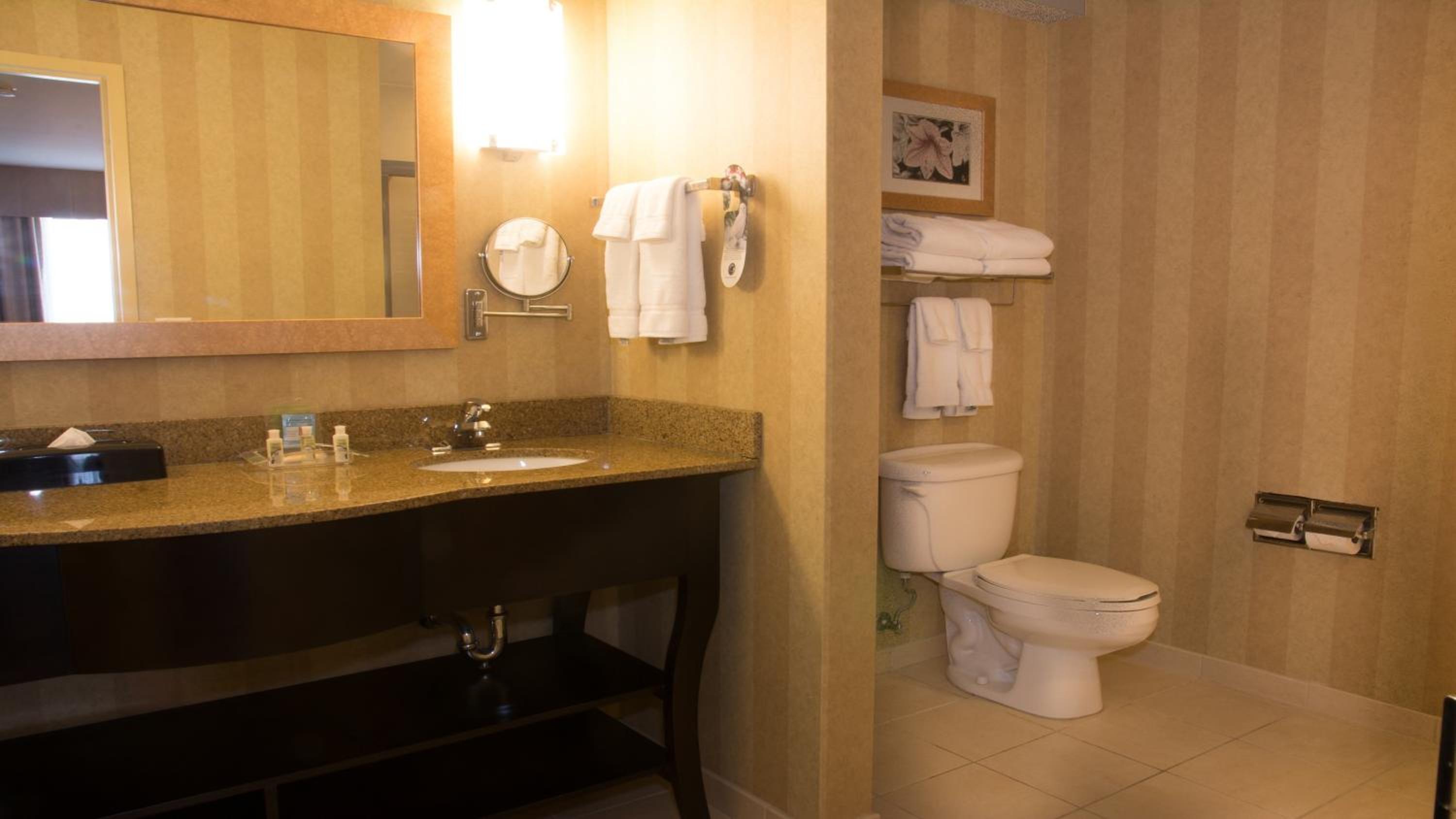 King Suite with Sofa Bed - Photo 3
