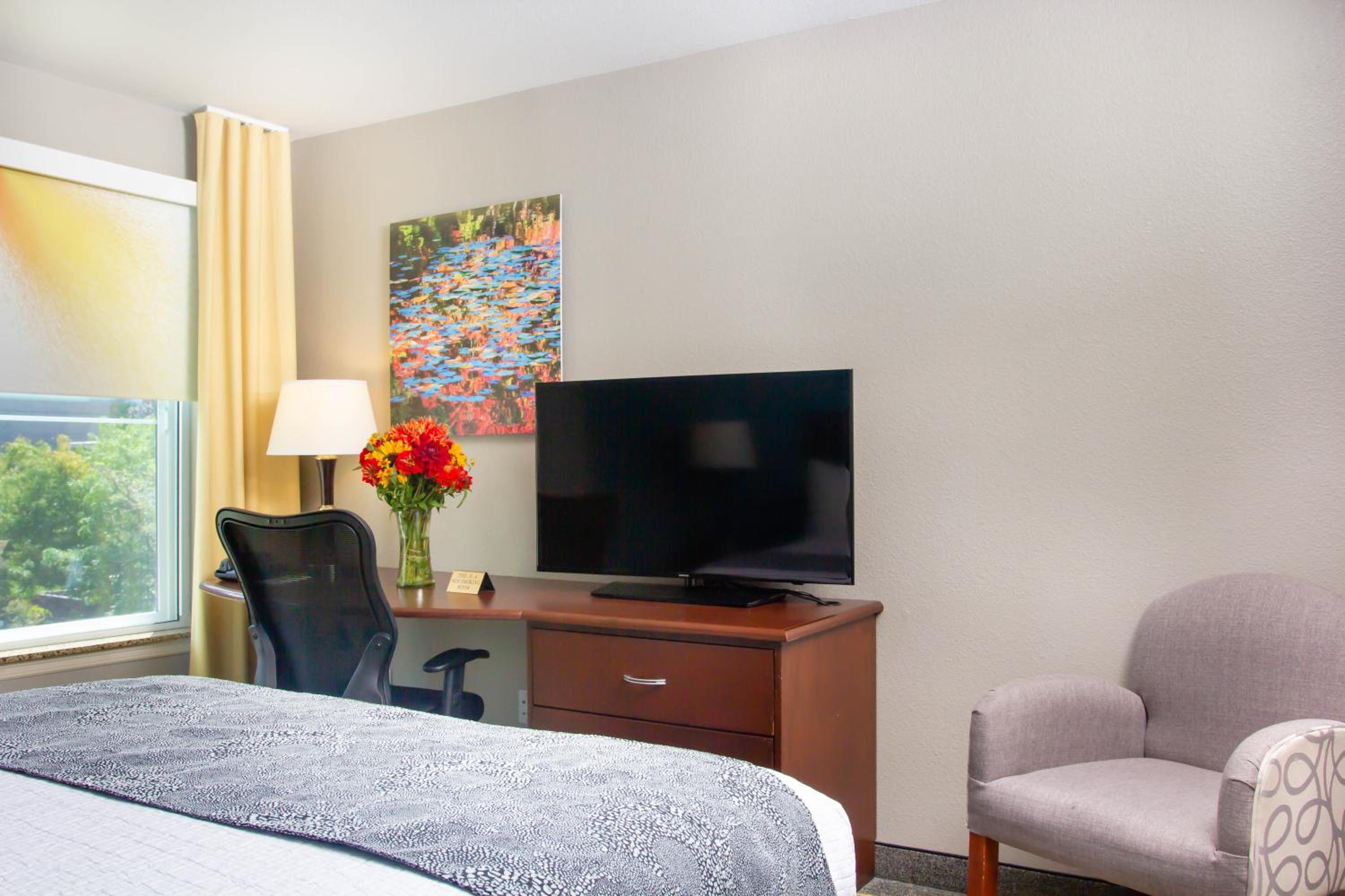 Queen Room - Photo 18