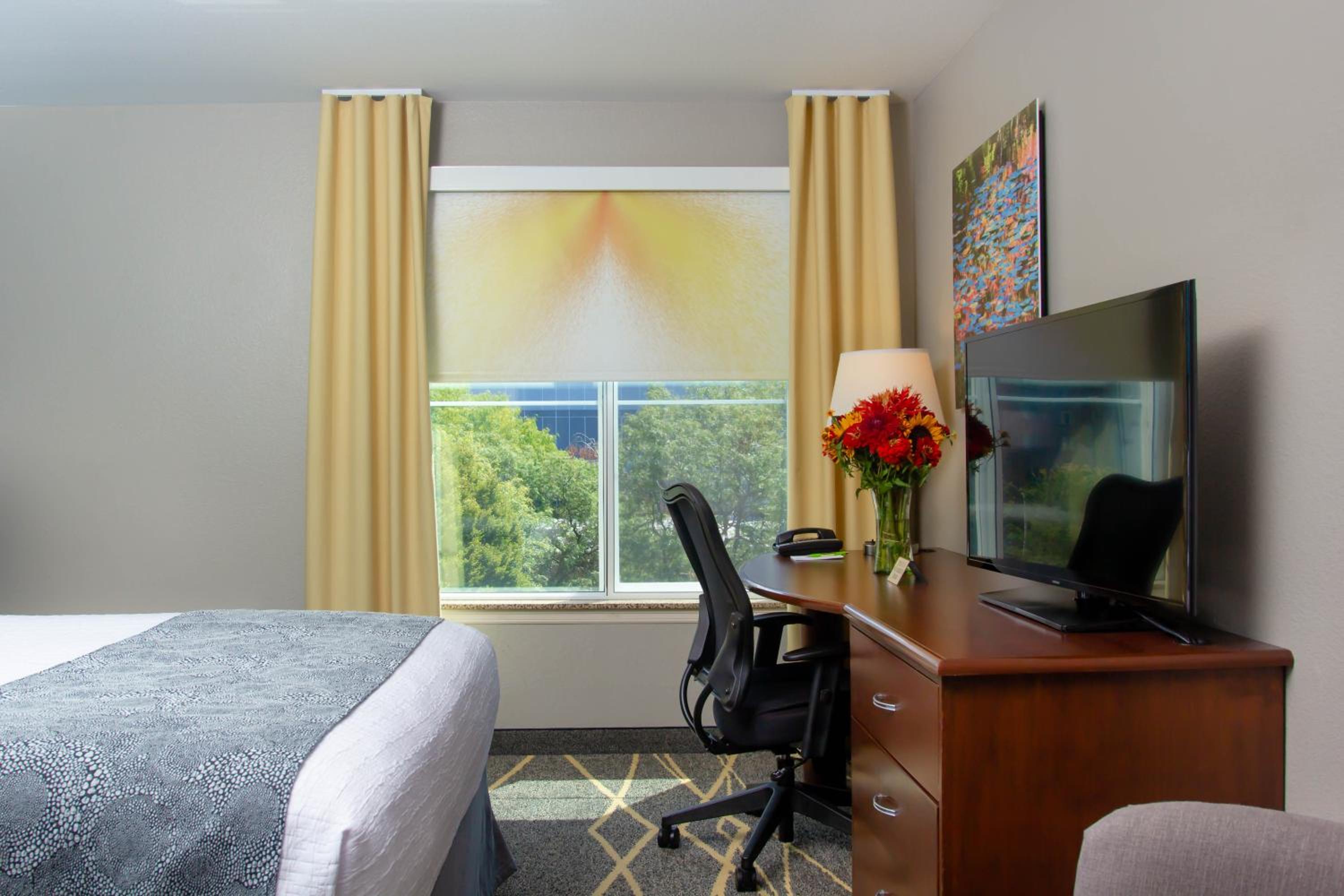 Queen Room - Photo 19