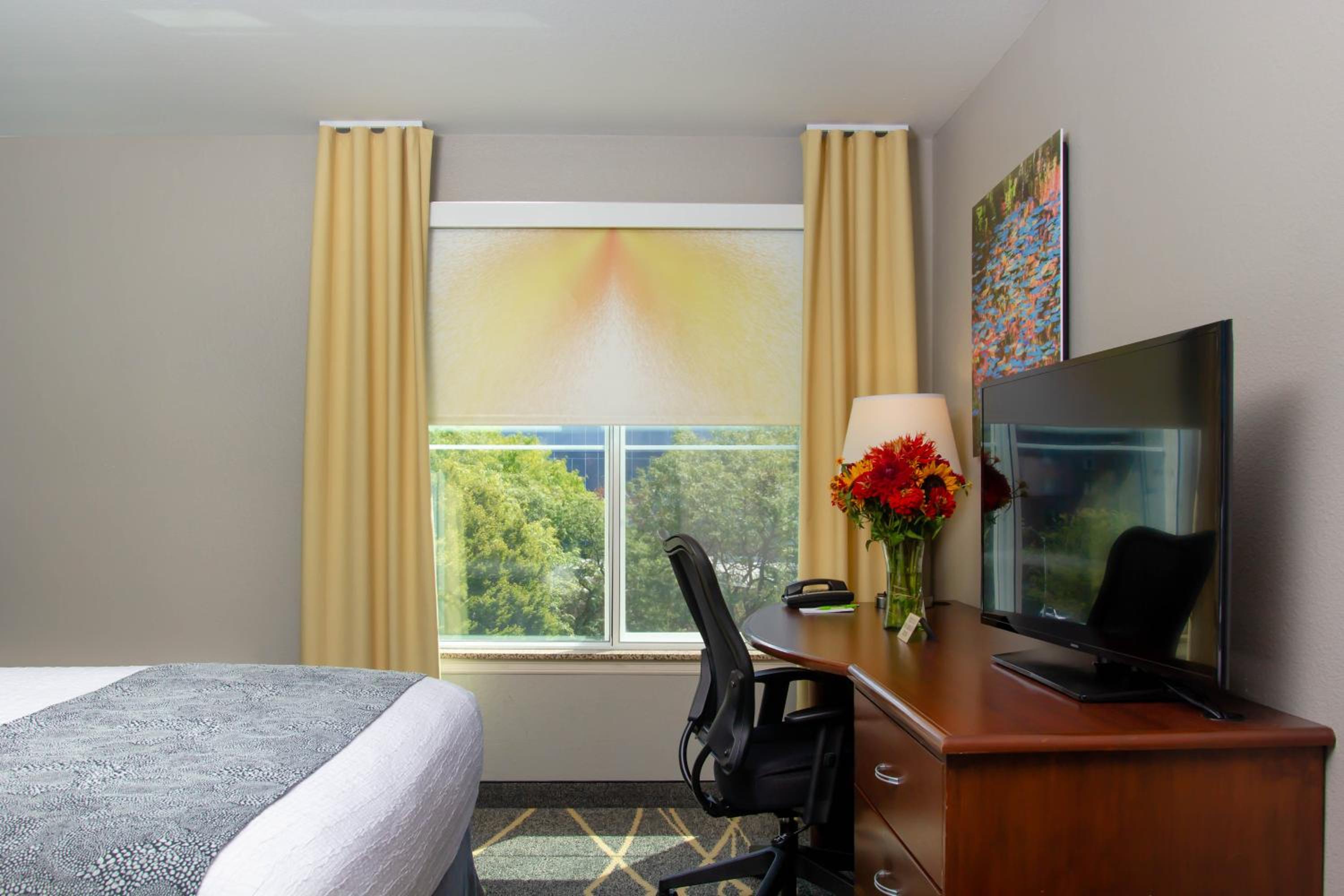 Queen Room - Photo 20