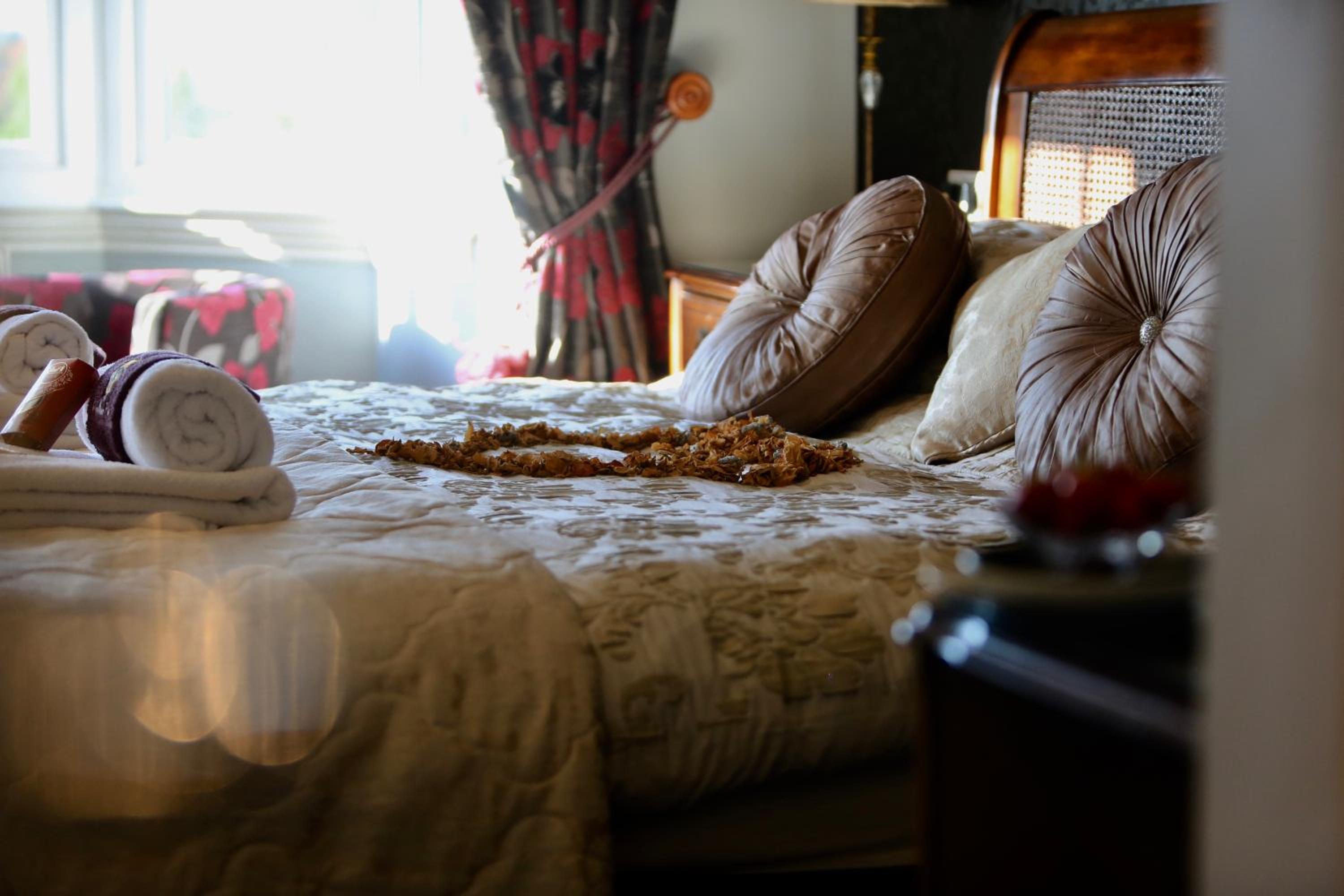 Suite - Photo 8