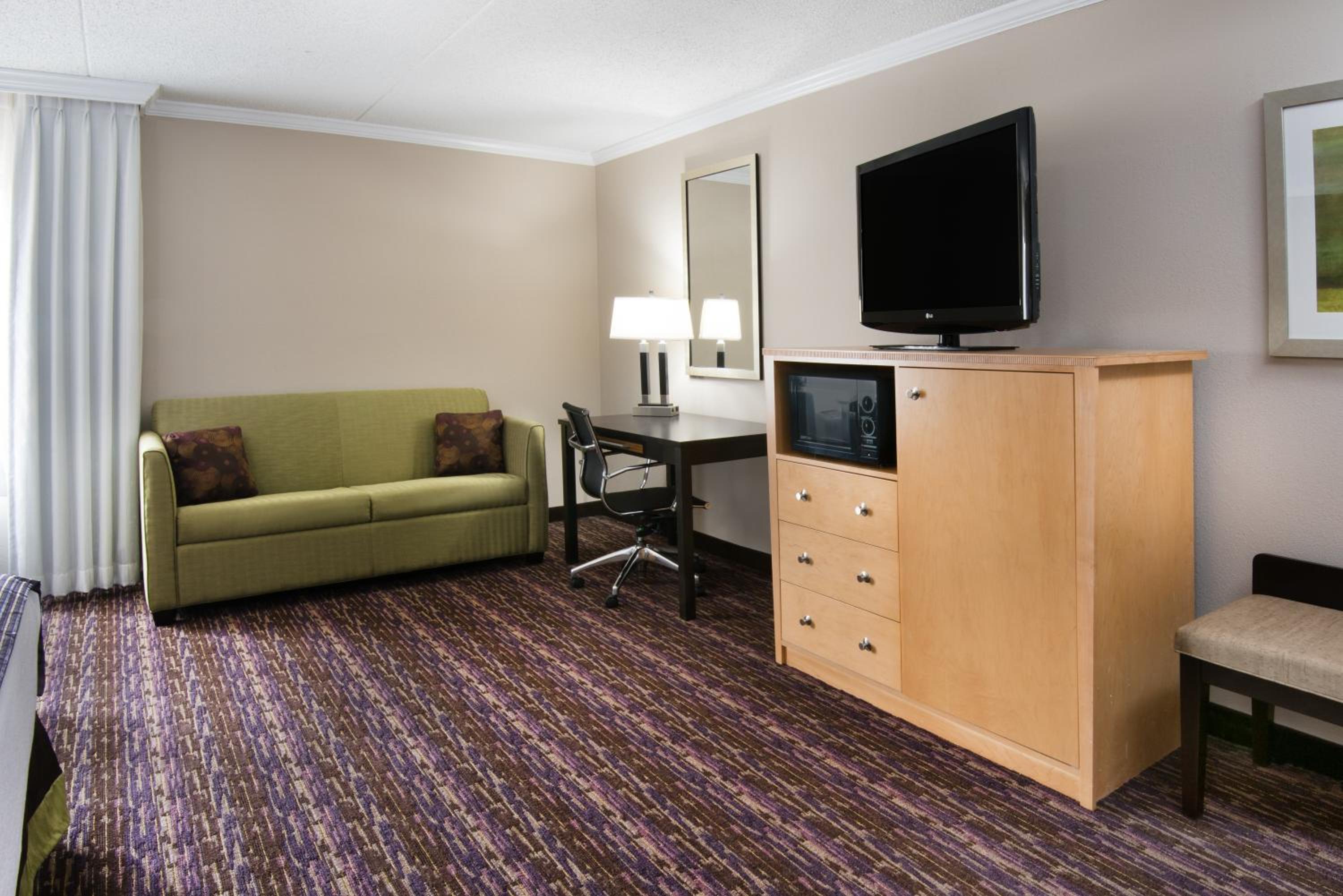 Deluxe King Suite - Non-Smoking - Photo 1