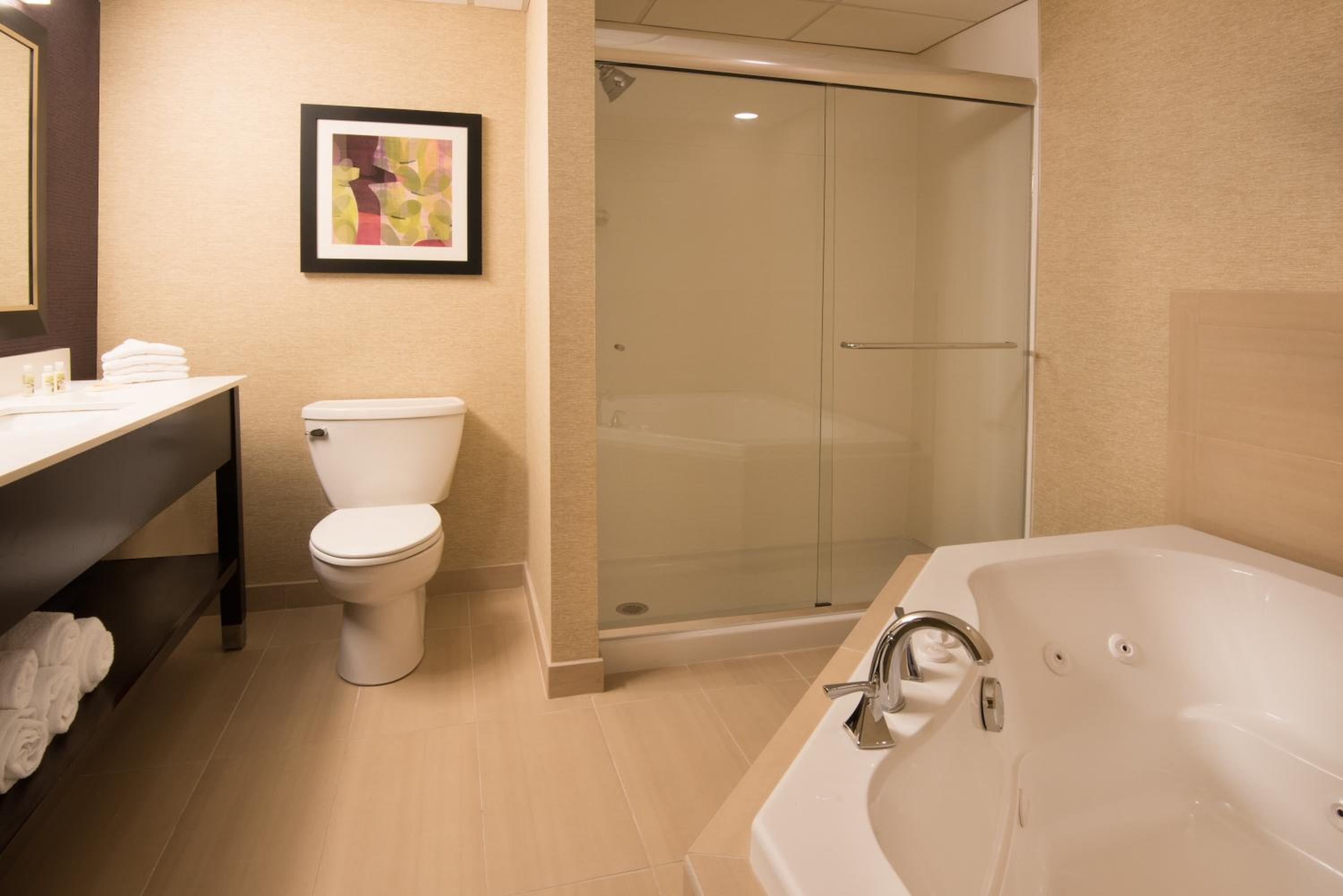 Deluxe King Suite - Non-Smoking - Photo 2
