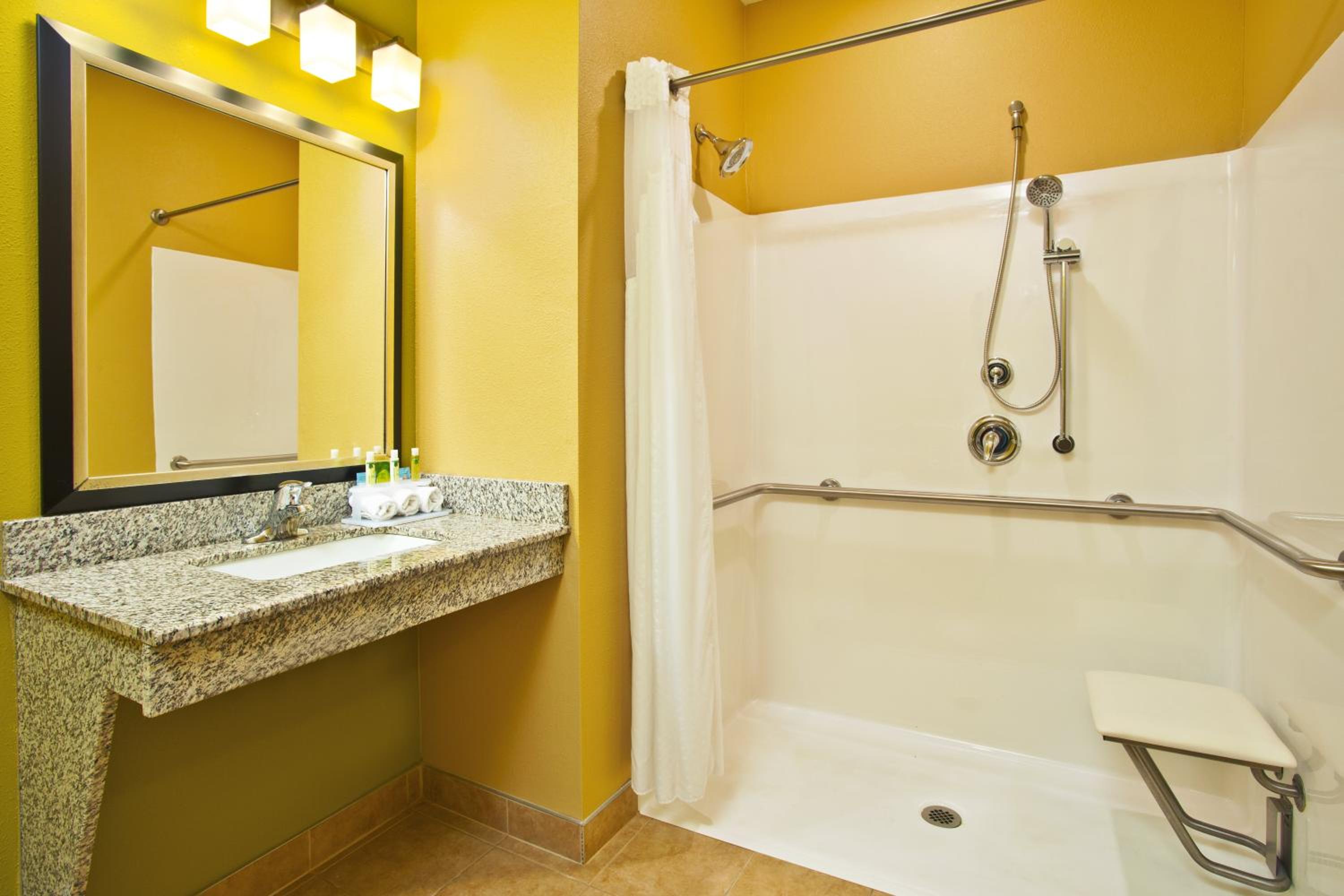 Standard King Room with Roll-in Shower - Mobility Accessible