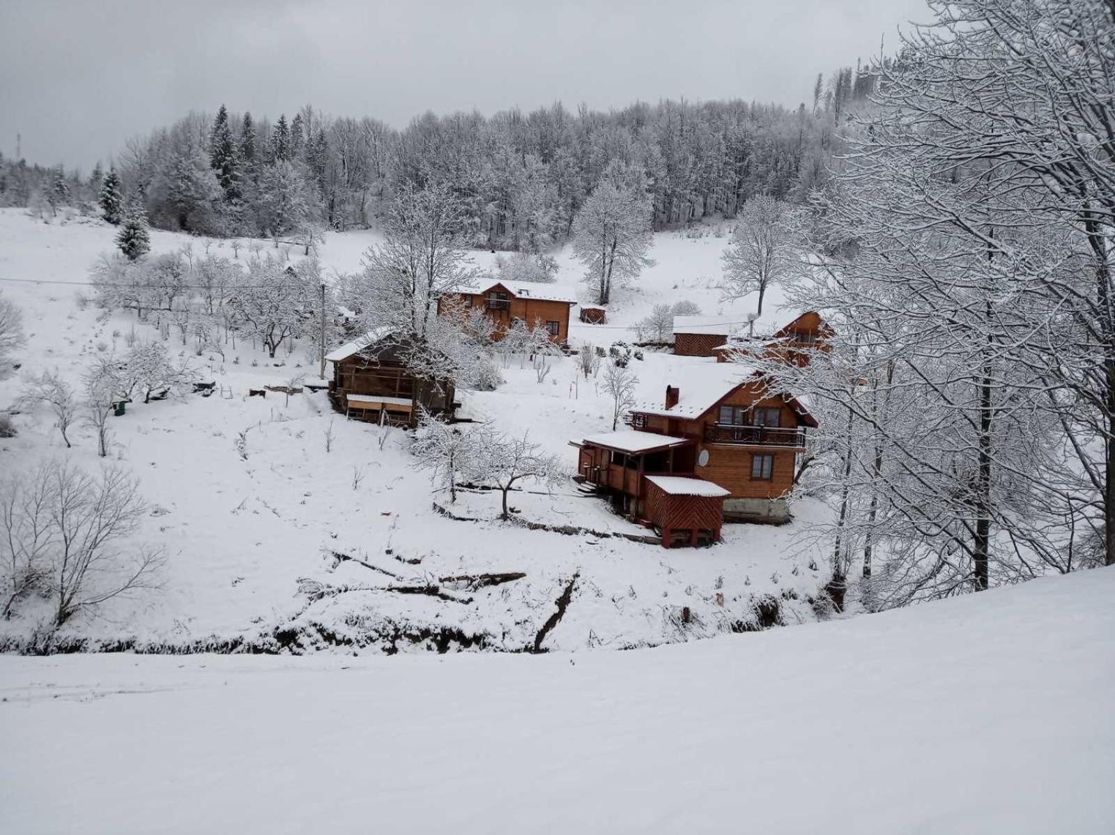 Vacation Home photo 1
