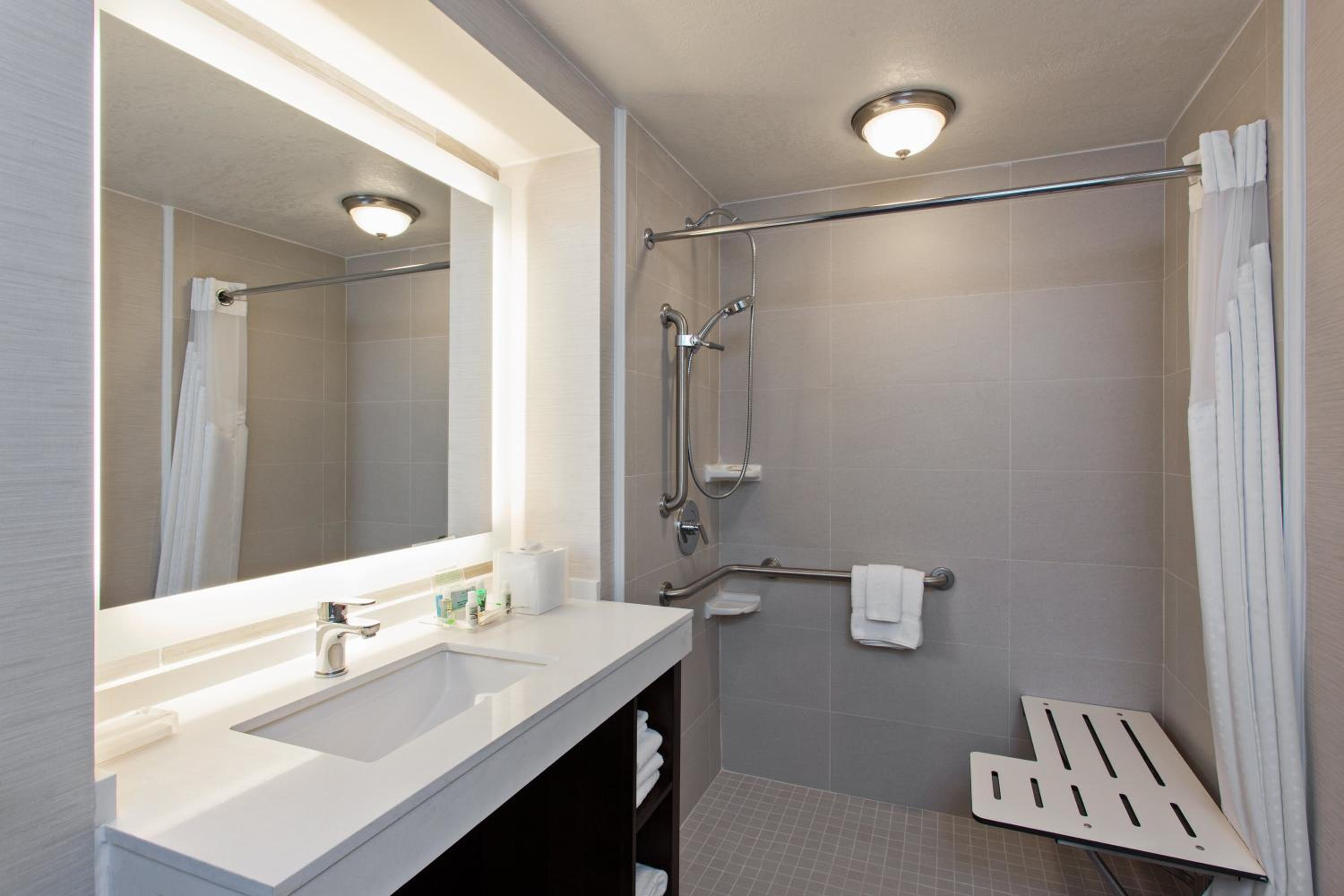 Standard King Room with Roll-In Shower - Communications Access - Photo 6