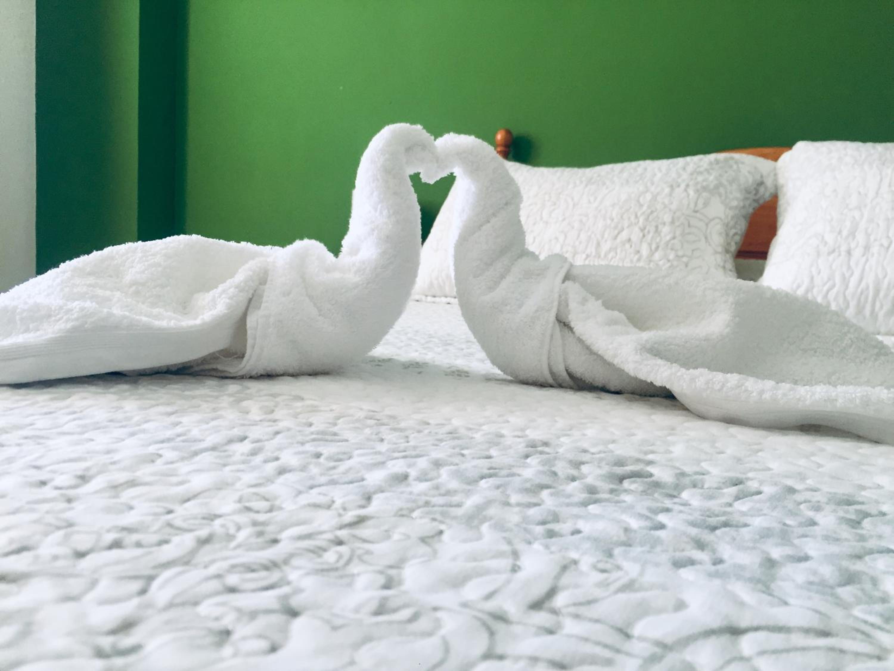 Double or Twin Room photo 2