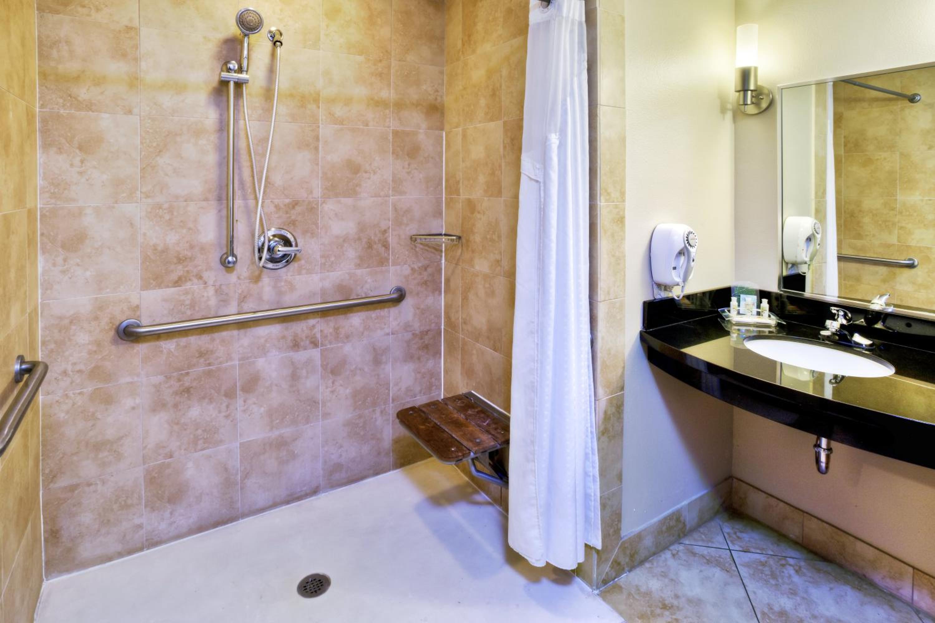 King Studio Suite - Mobility Access with Roll-in Shower - Photo 2