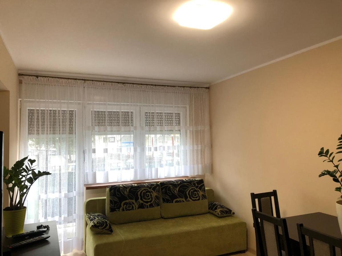 One-Bedroom Apartment photo 3