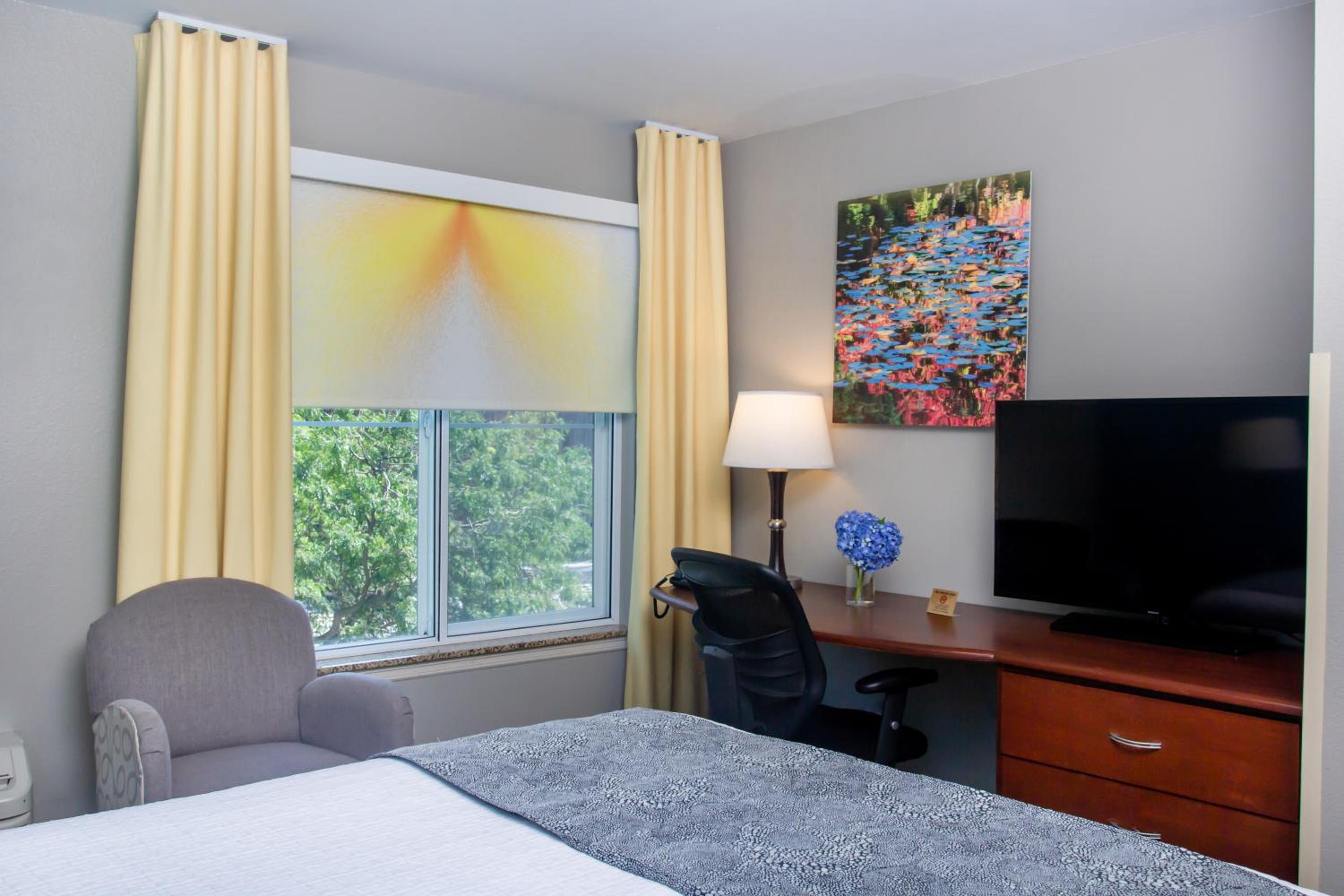 King Room - Photo 4