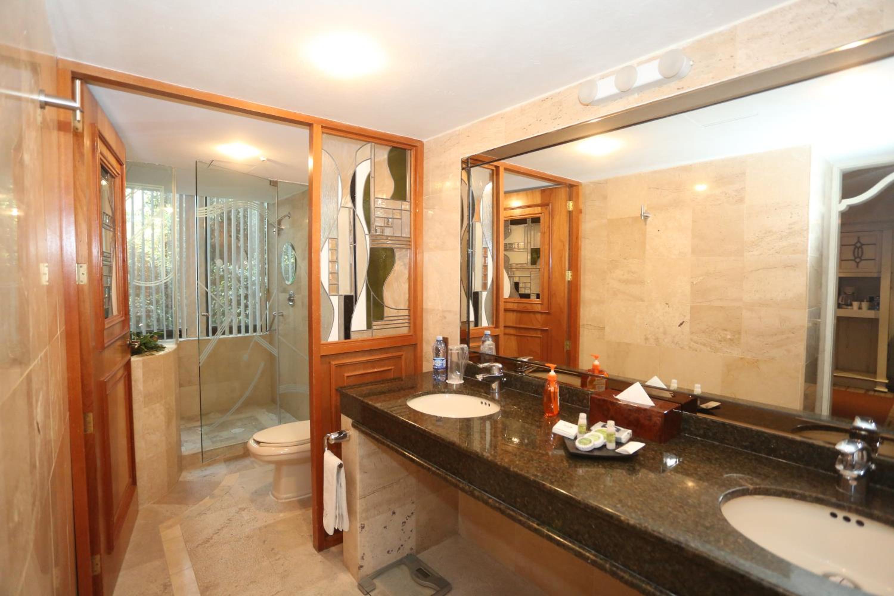 Deluxe King Room - Photo 17