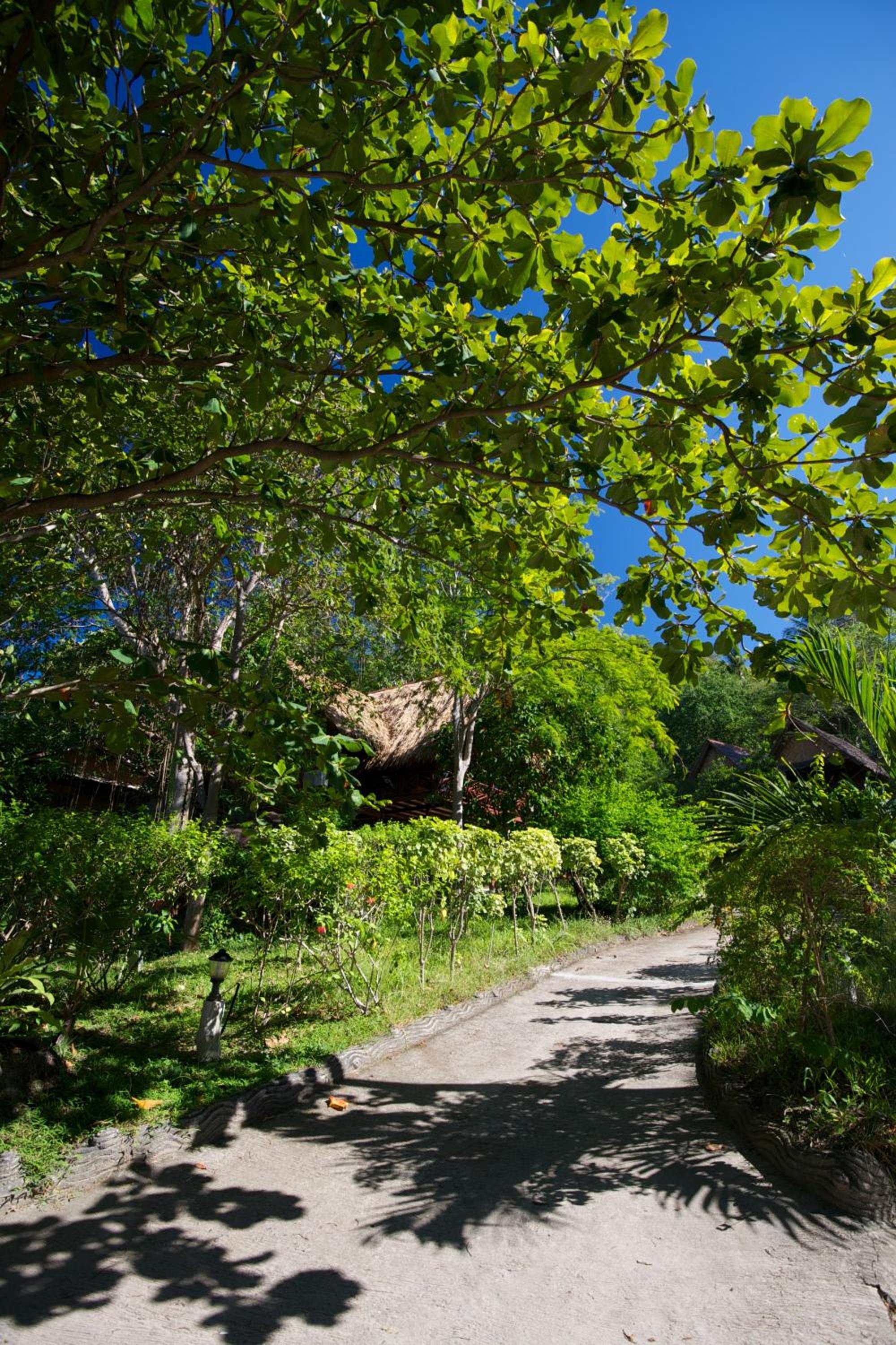 Deluxe Bungalow photo 2