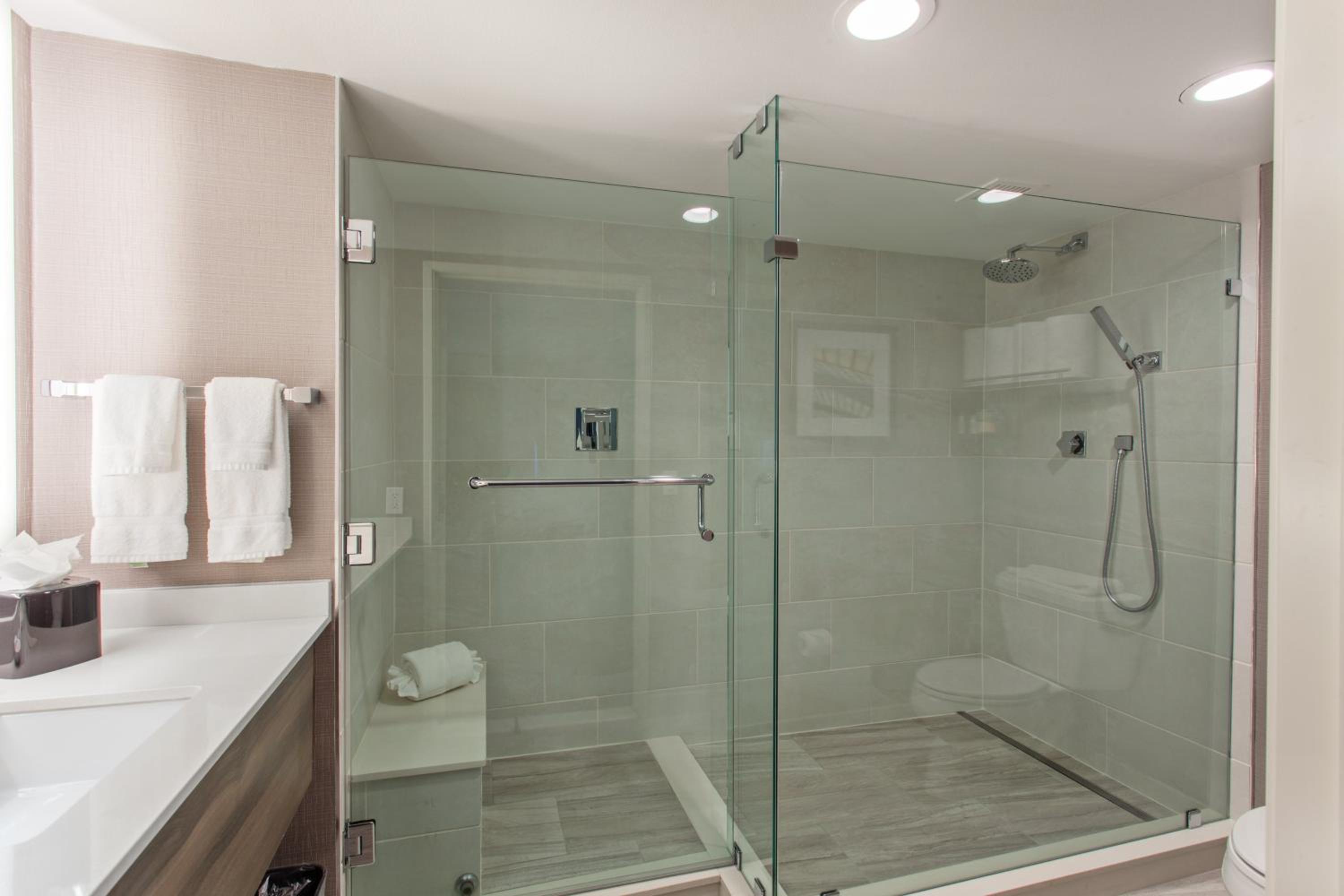 One-Bedroom Suite - Photo 3