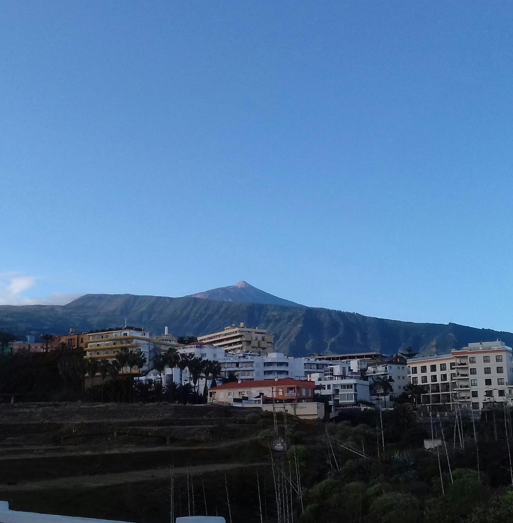 Studio with Mountain View - Photo 9