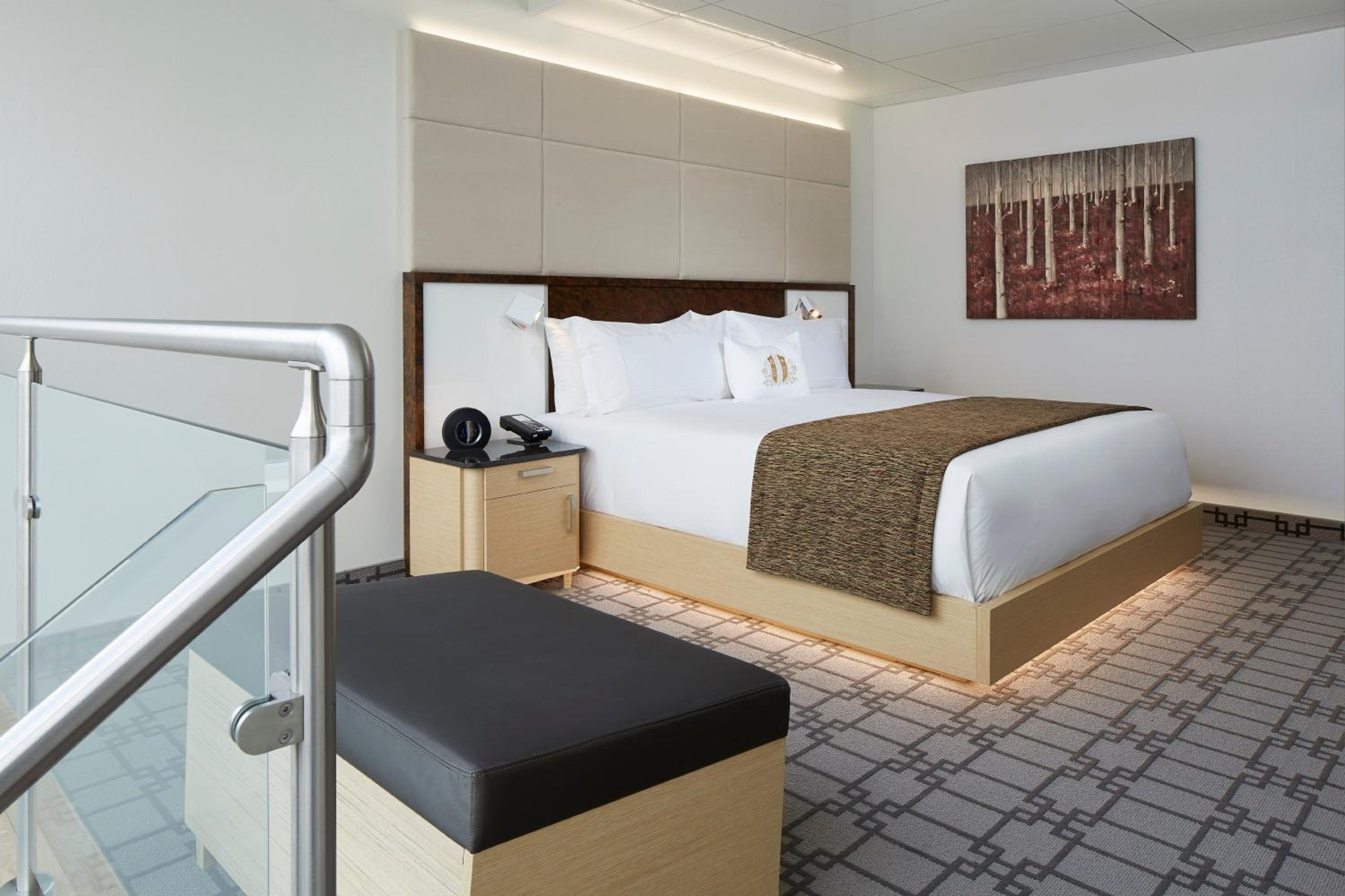 Sky Loft Suite with Terrace