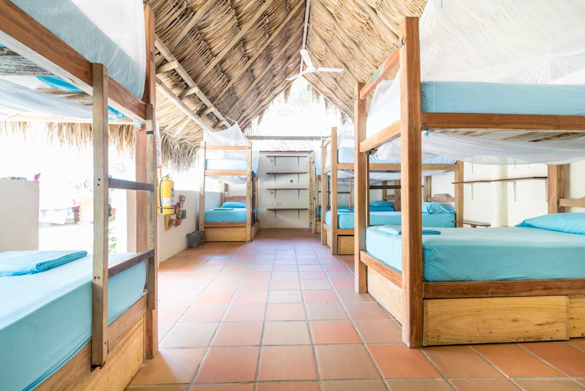 Bed in 12-Bed Mixed Dormitory Room photo 1