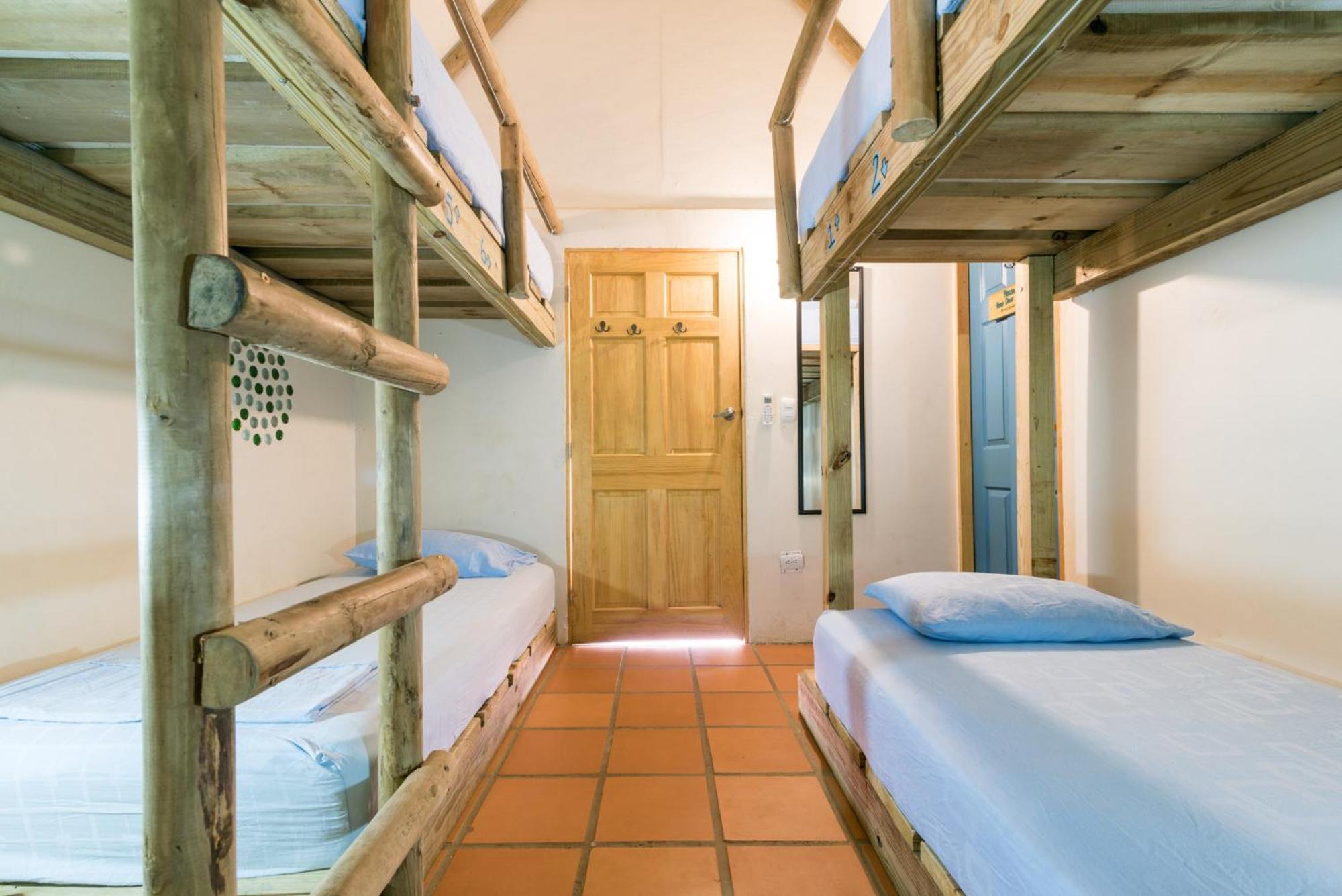 Bed in 6-Bed Mixed Dormitory Room photo 1