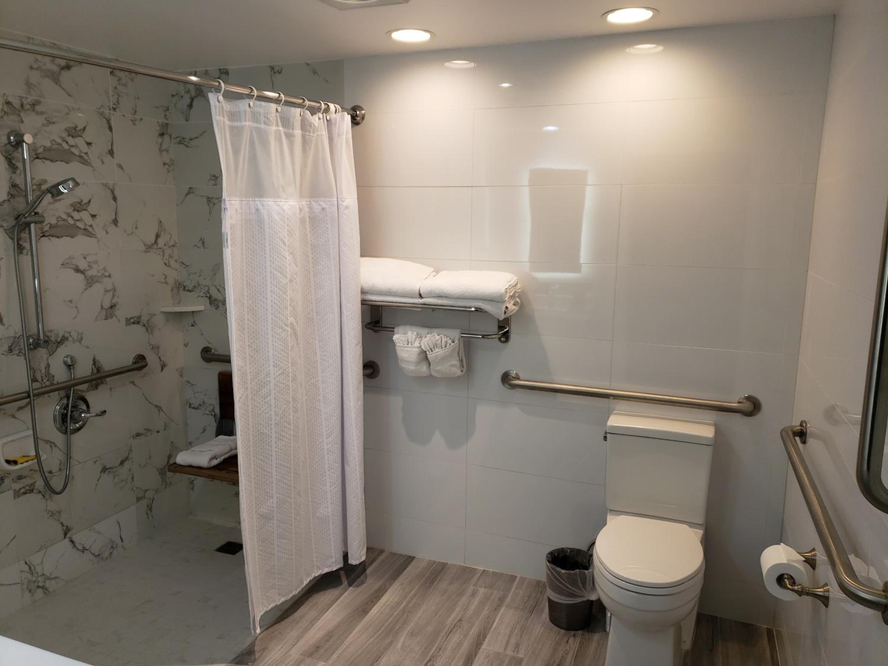King Room with Mobility Accessible Roll-In Shower and Sofa Bed