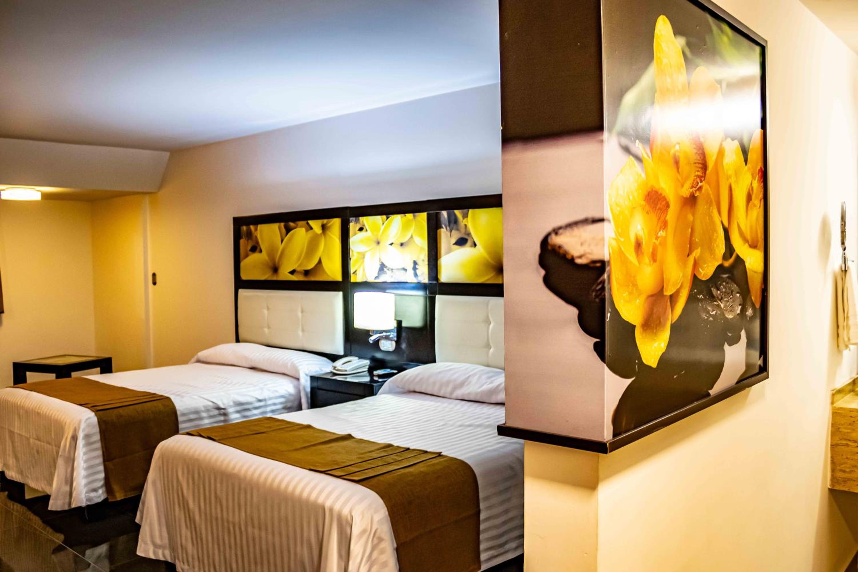 Deluxe Double Room - Photo 7