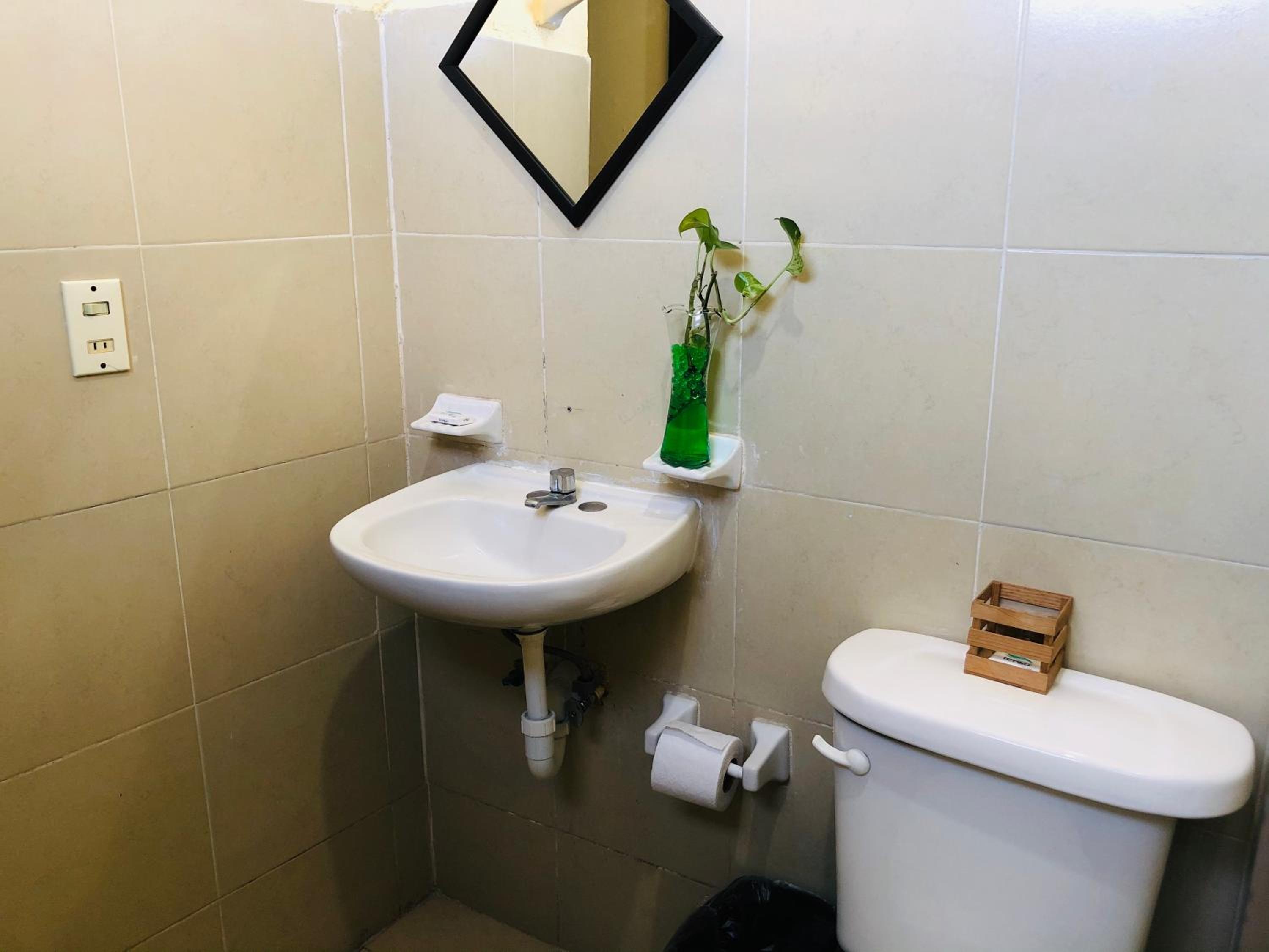 Standard Twin Room - Photo 7