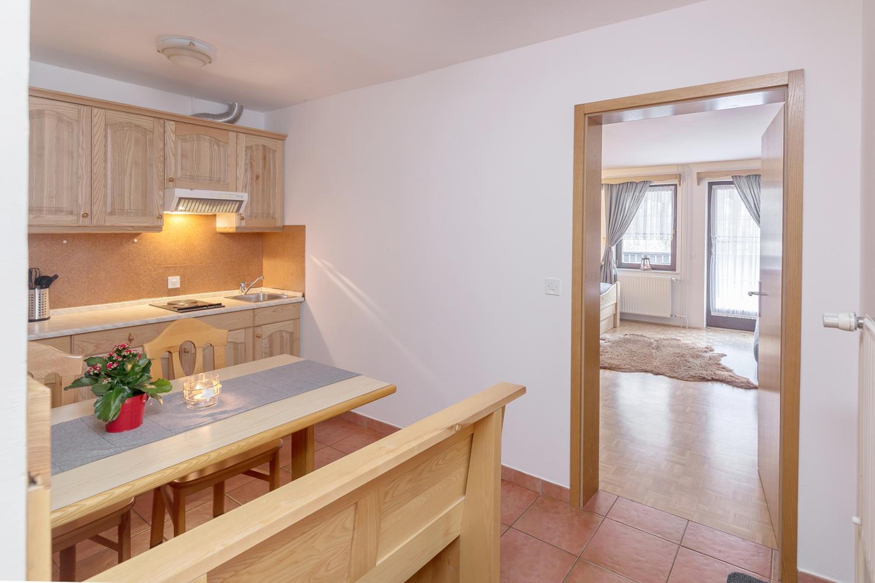 Apartment with Terrace photo 2