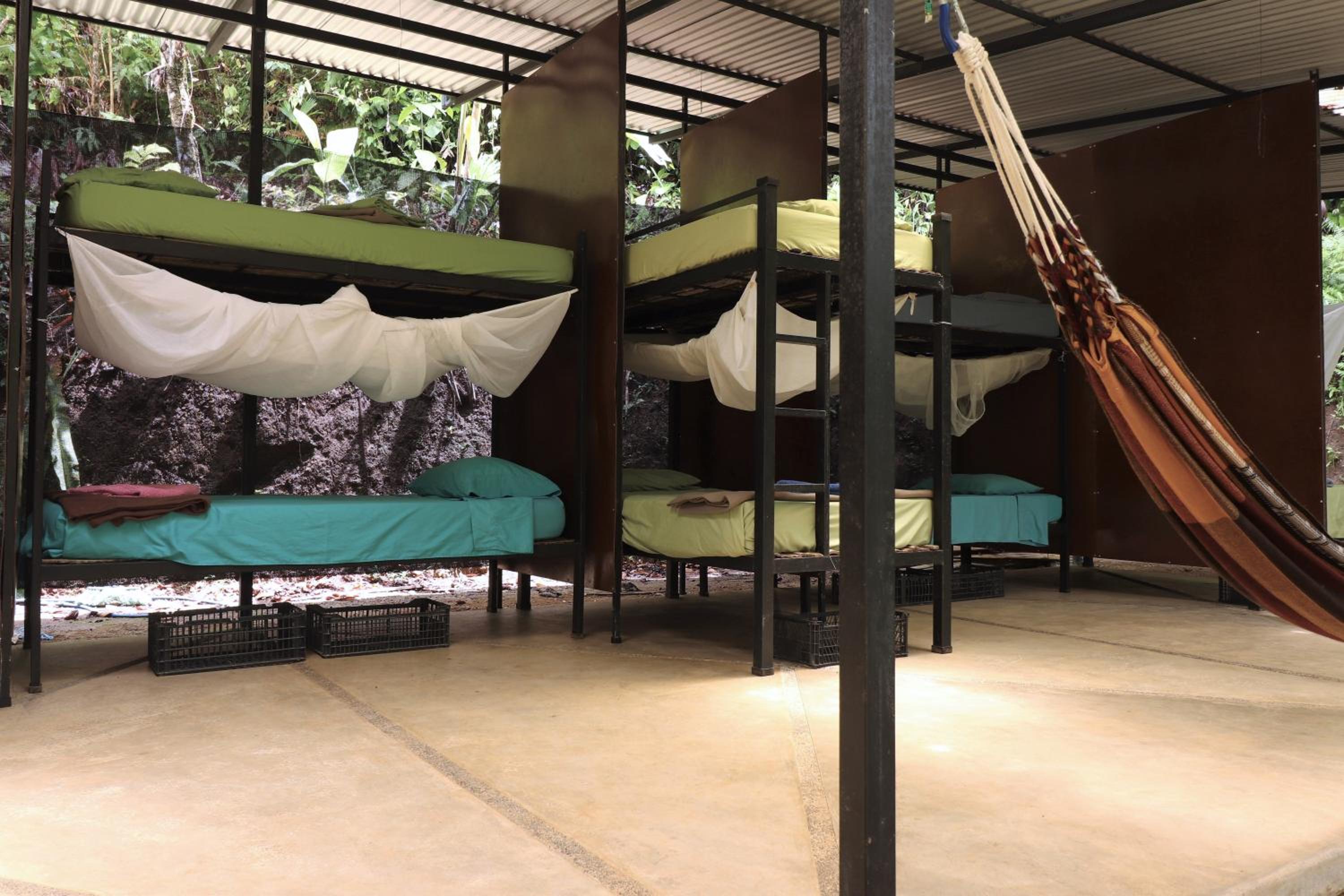 Bed in 10-Bed Mixed Dormitory Room photo 1