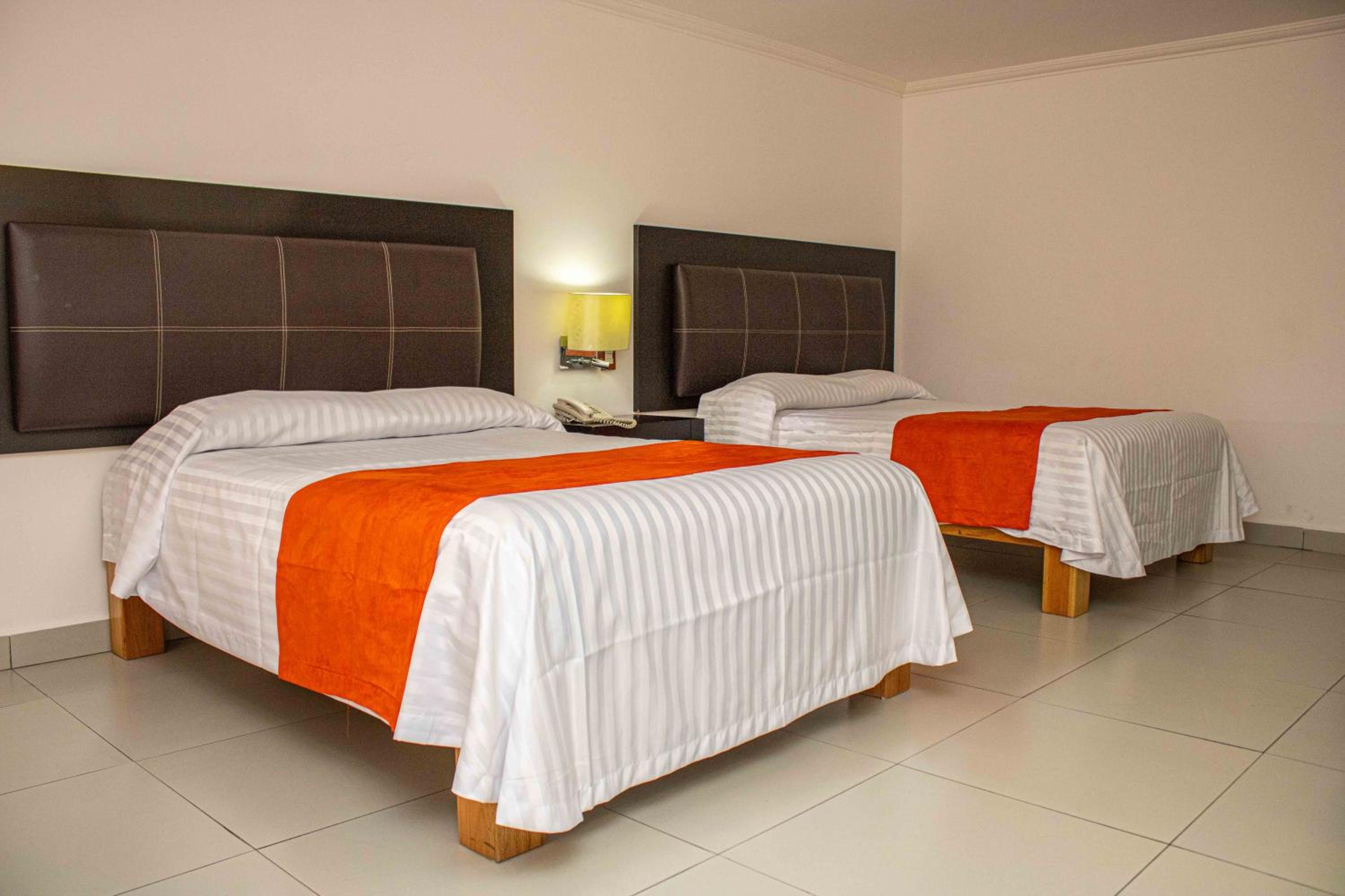 Twin Room - Photo 6