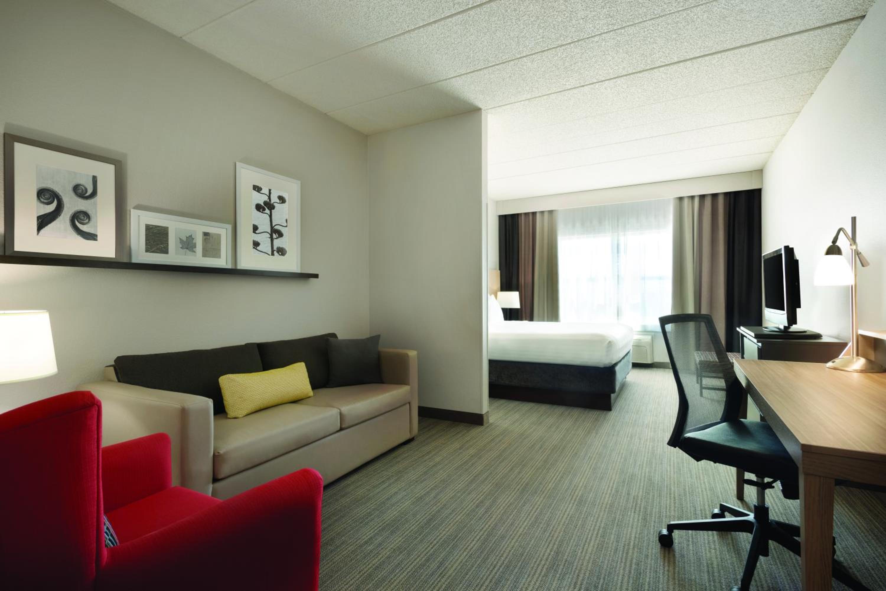 King Studio with Sofa Bed