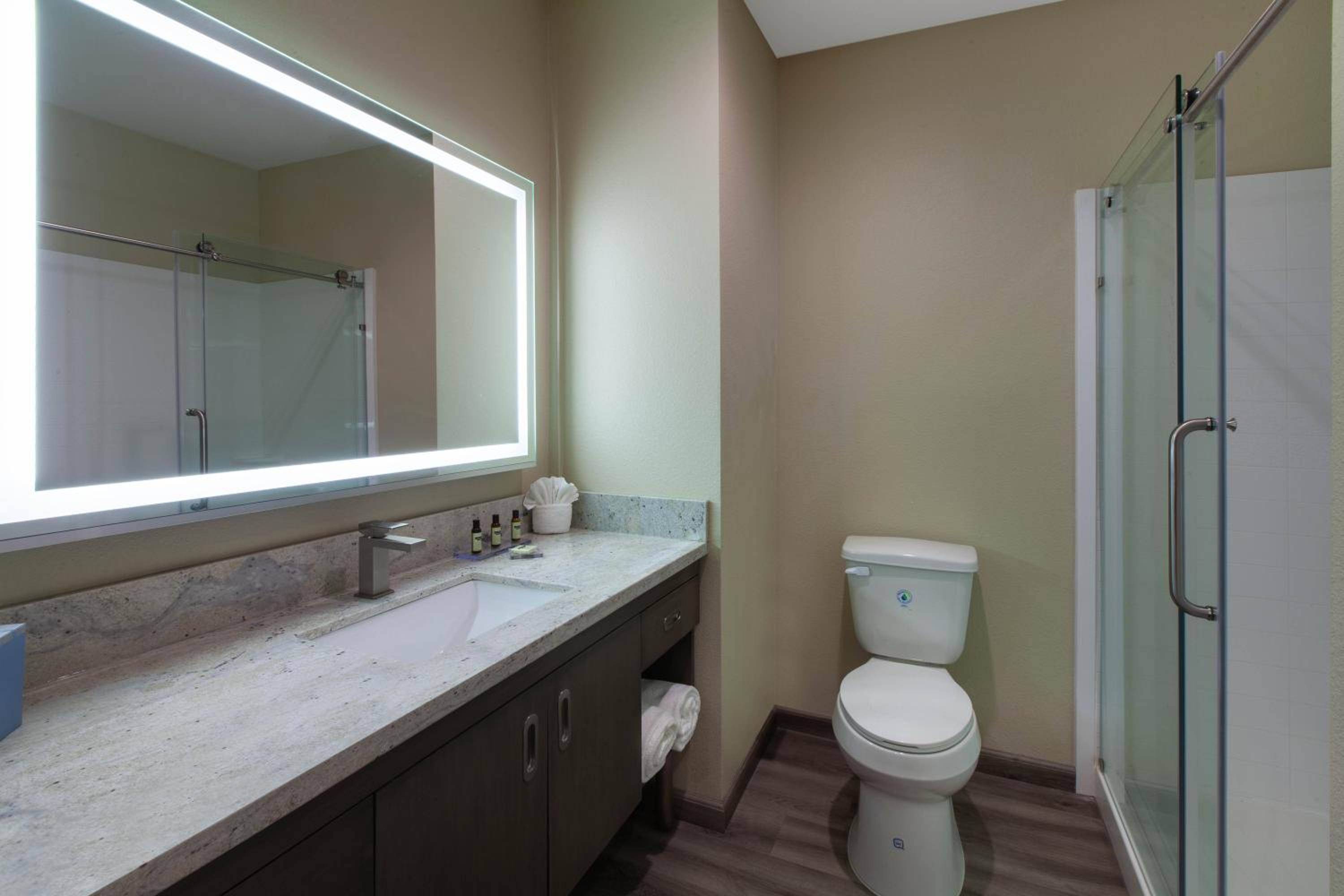 King Studio Suite - Non-Smoking photo 2