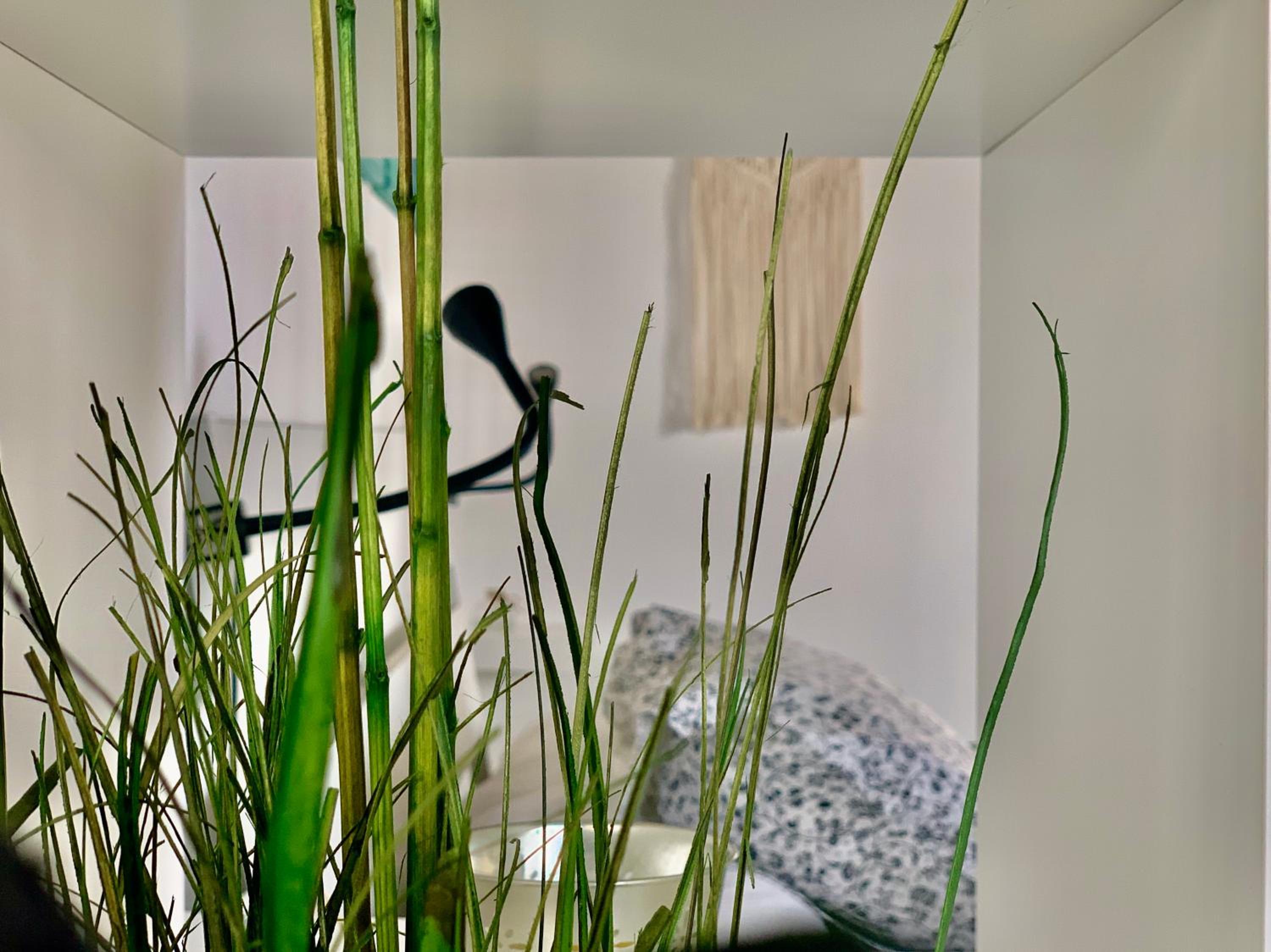 Loft - Photo 37