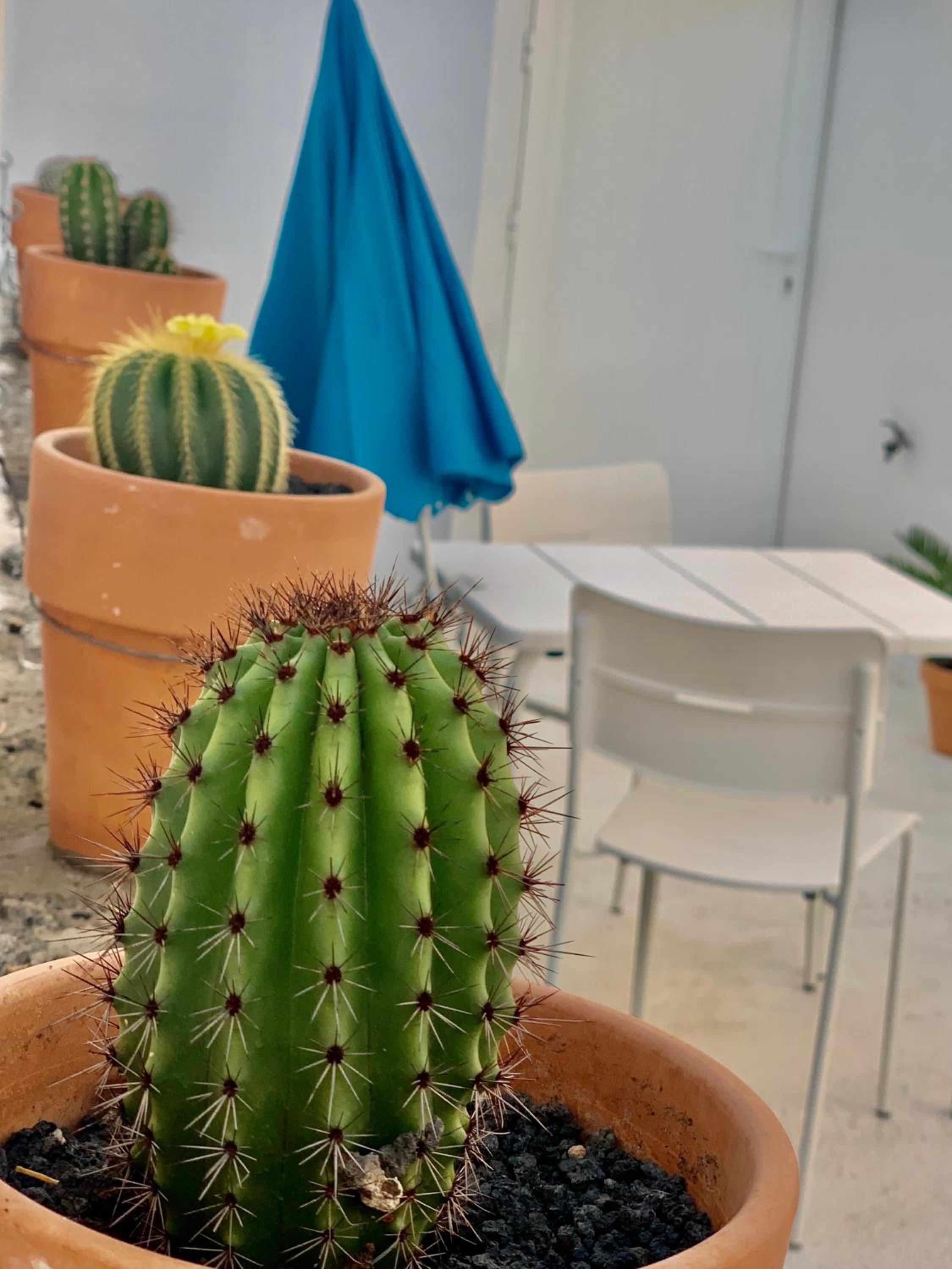 Loft - Photo 8