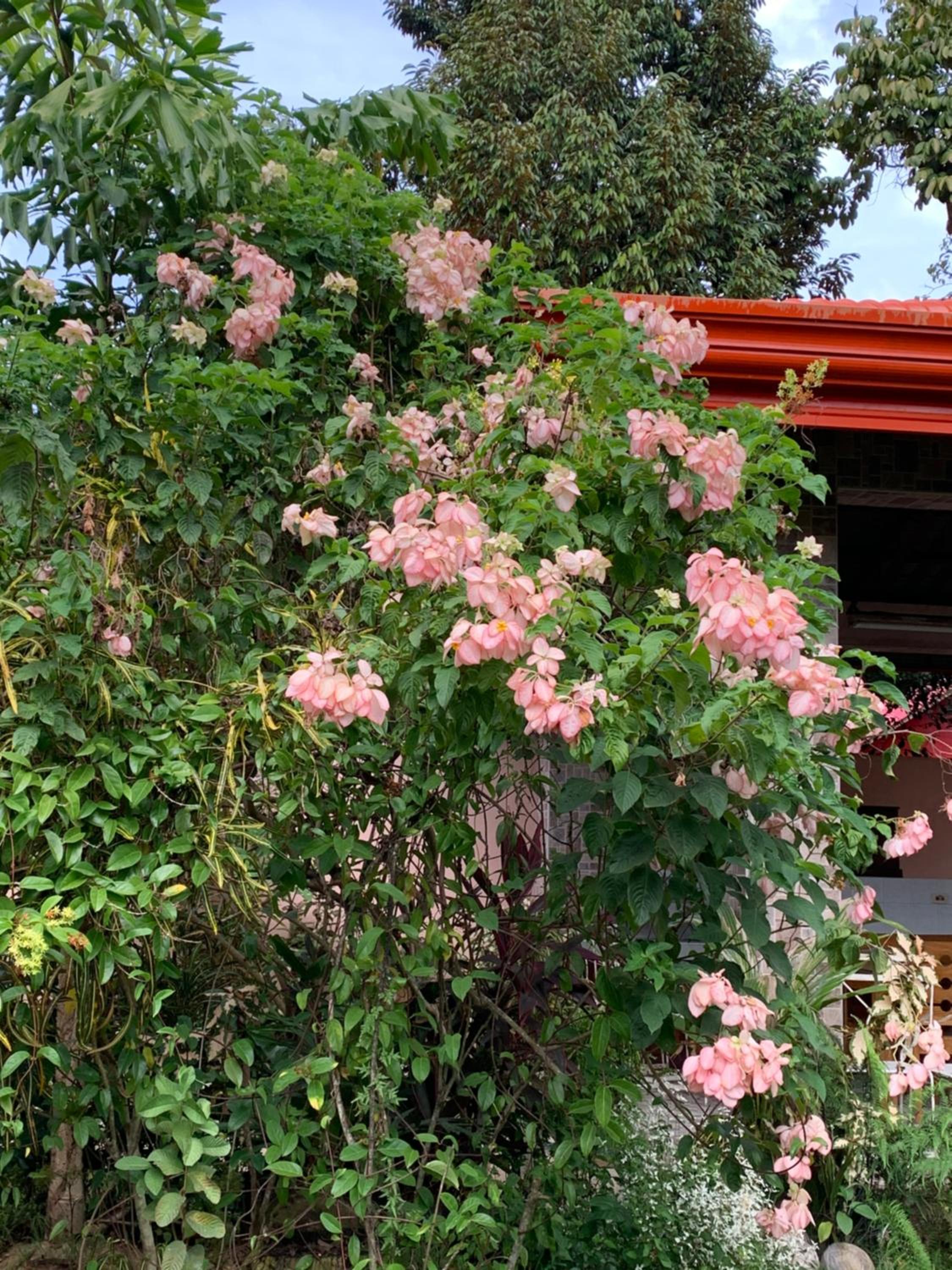 Bungalow with Patio - Photo 23